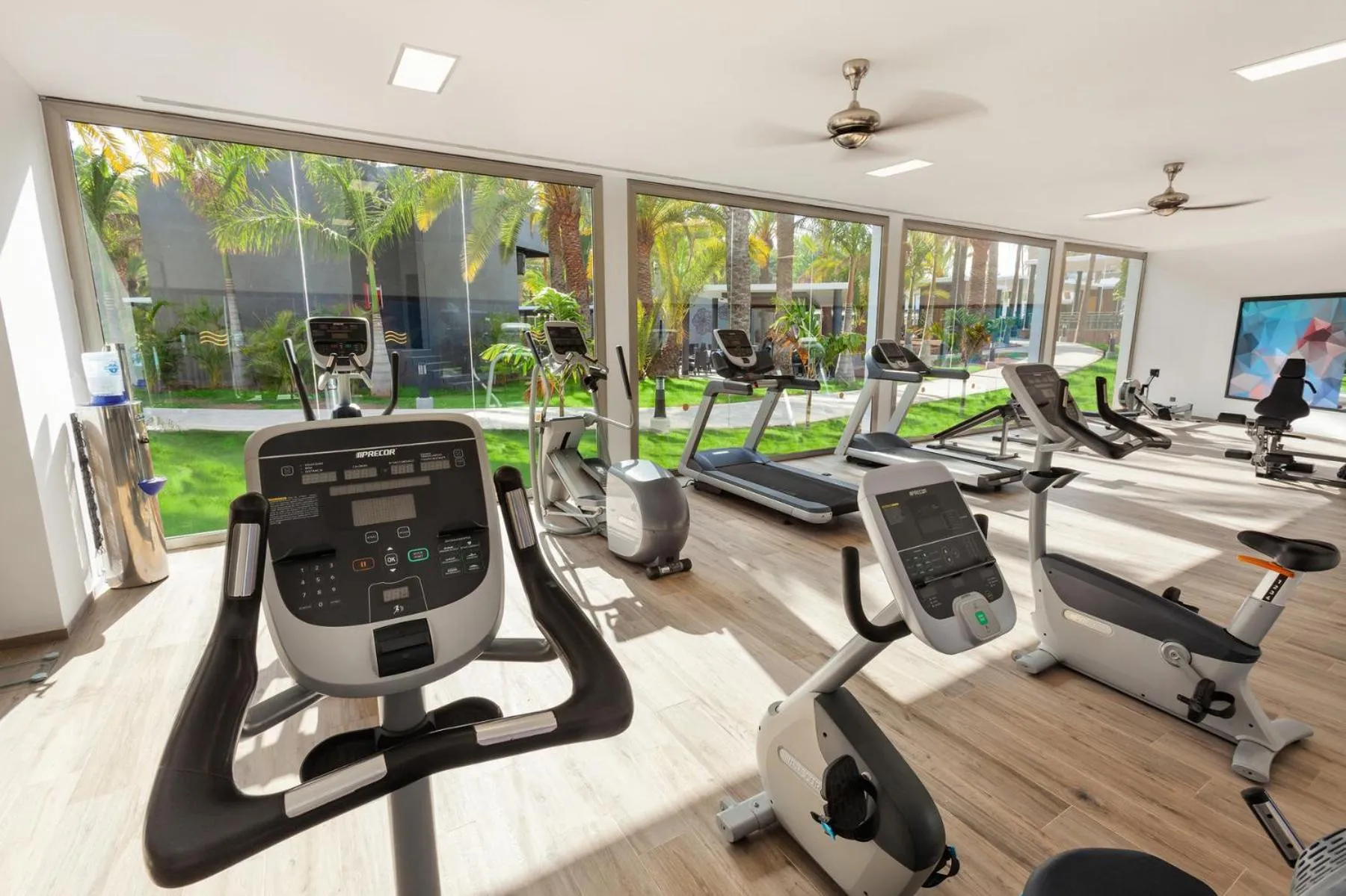 Fitness centre/facilities in Hotel Riu Palace Oasis