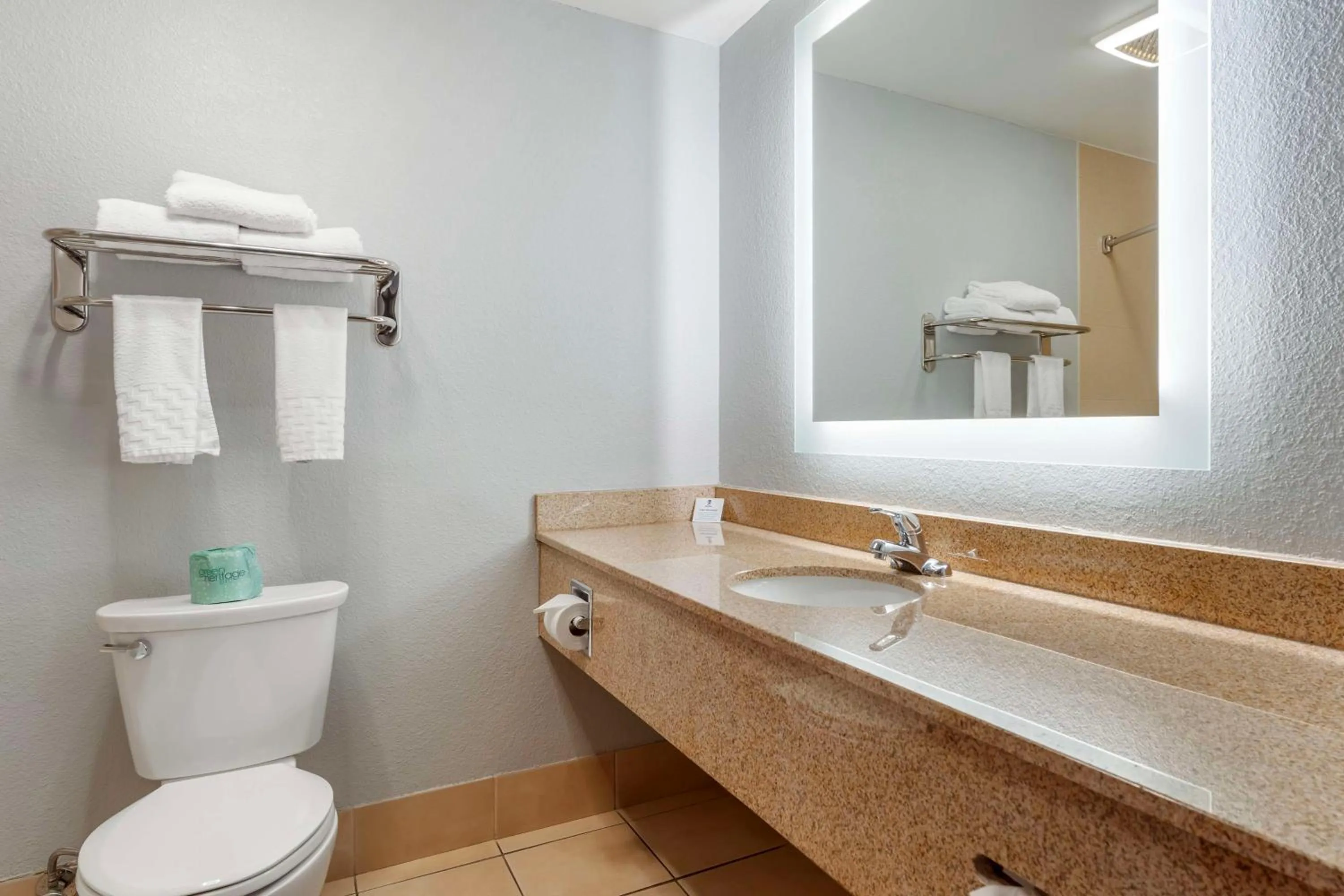 Bathroom in Best Western St. Clairsville Inn & Suites