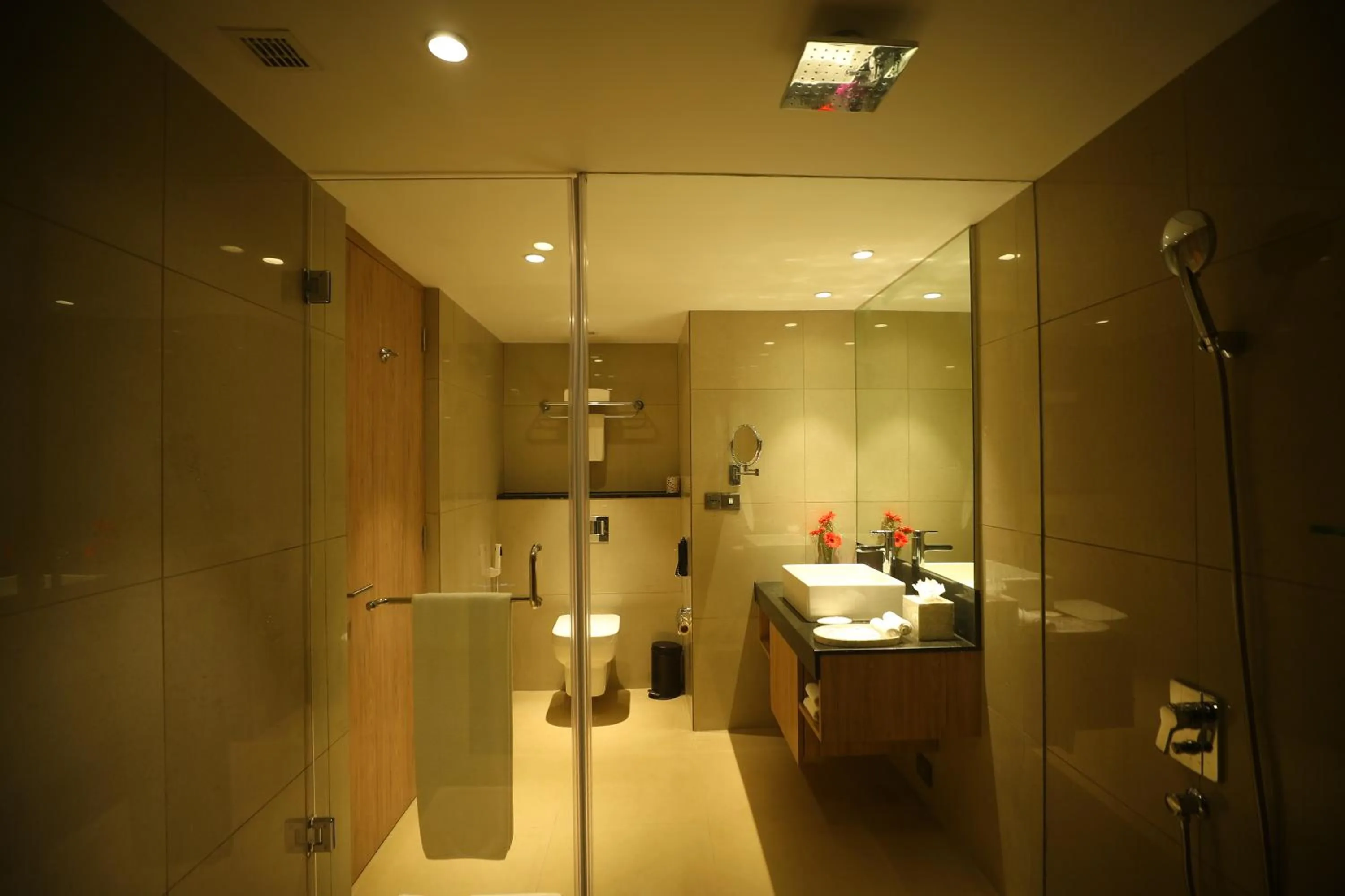 Bathroom in Regenta Resort Belagavi