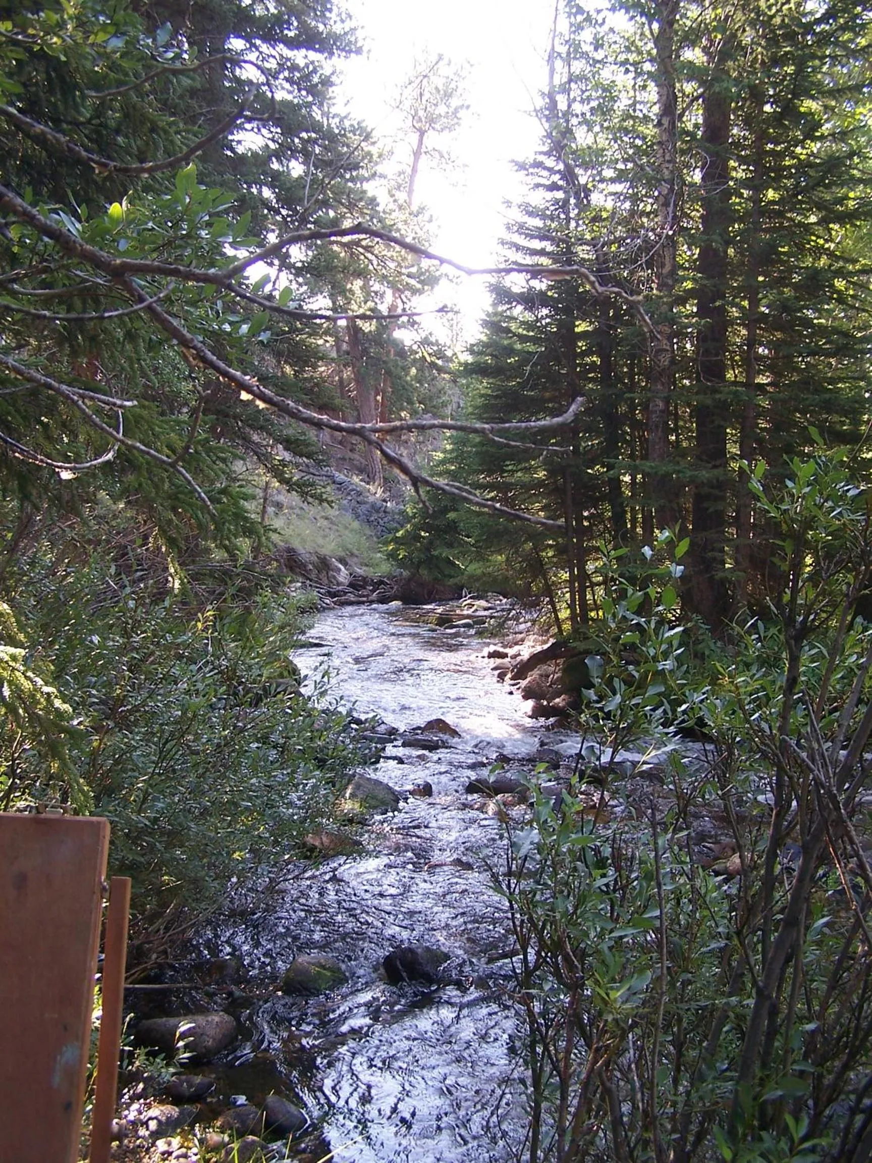 Fishing in Big Horn Motel