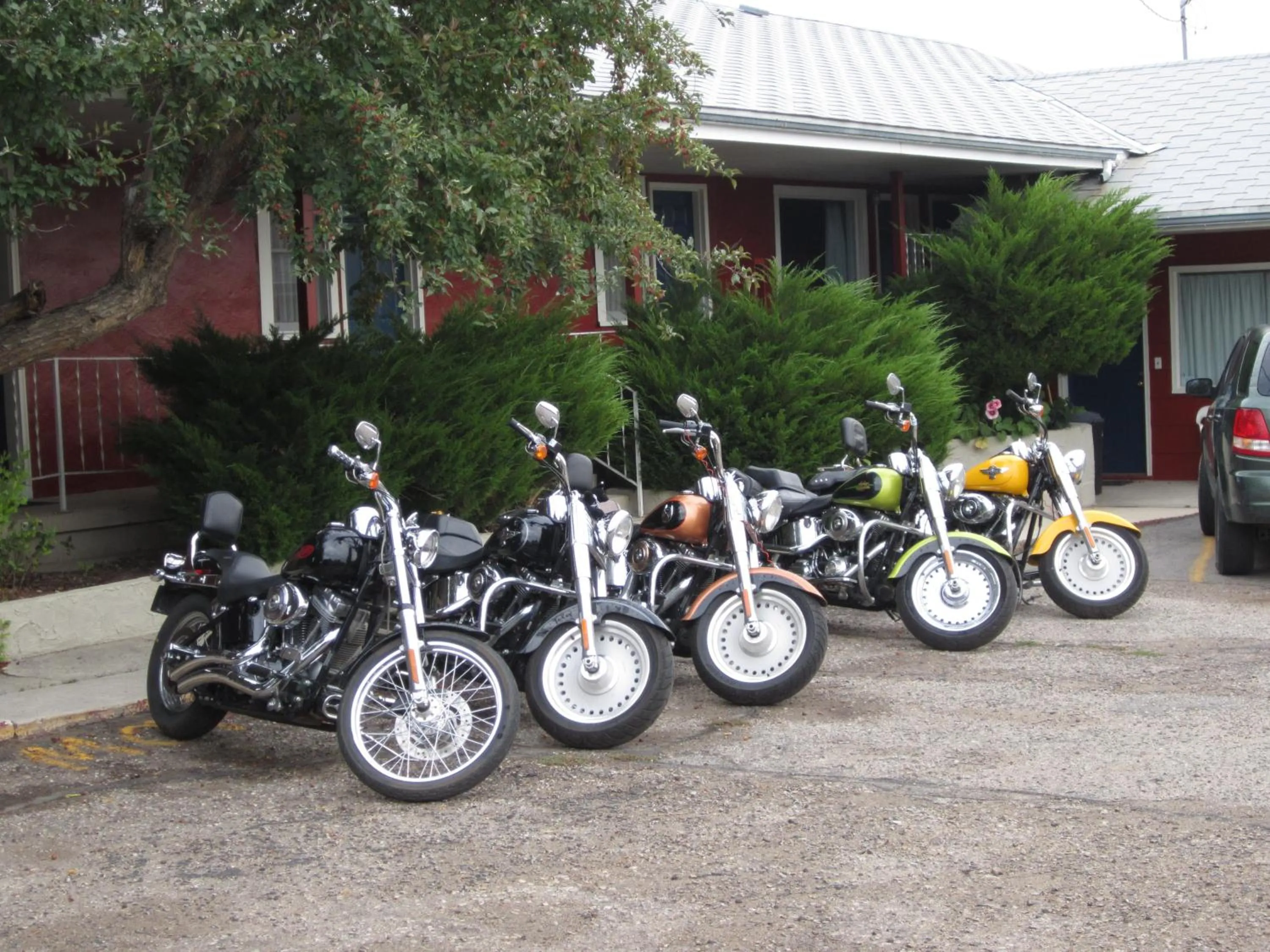 Activities in Big Horn Motel