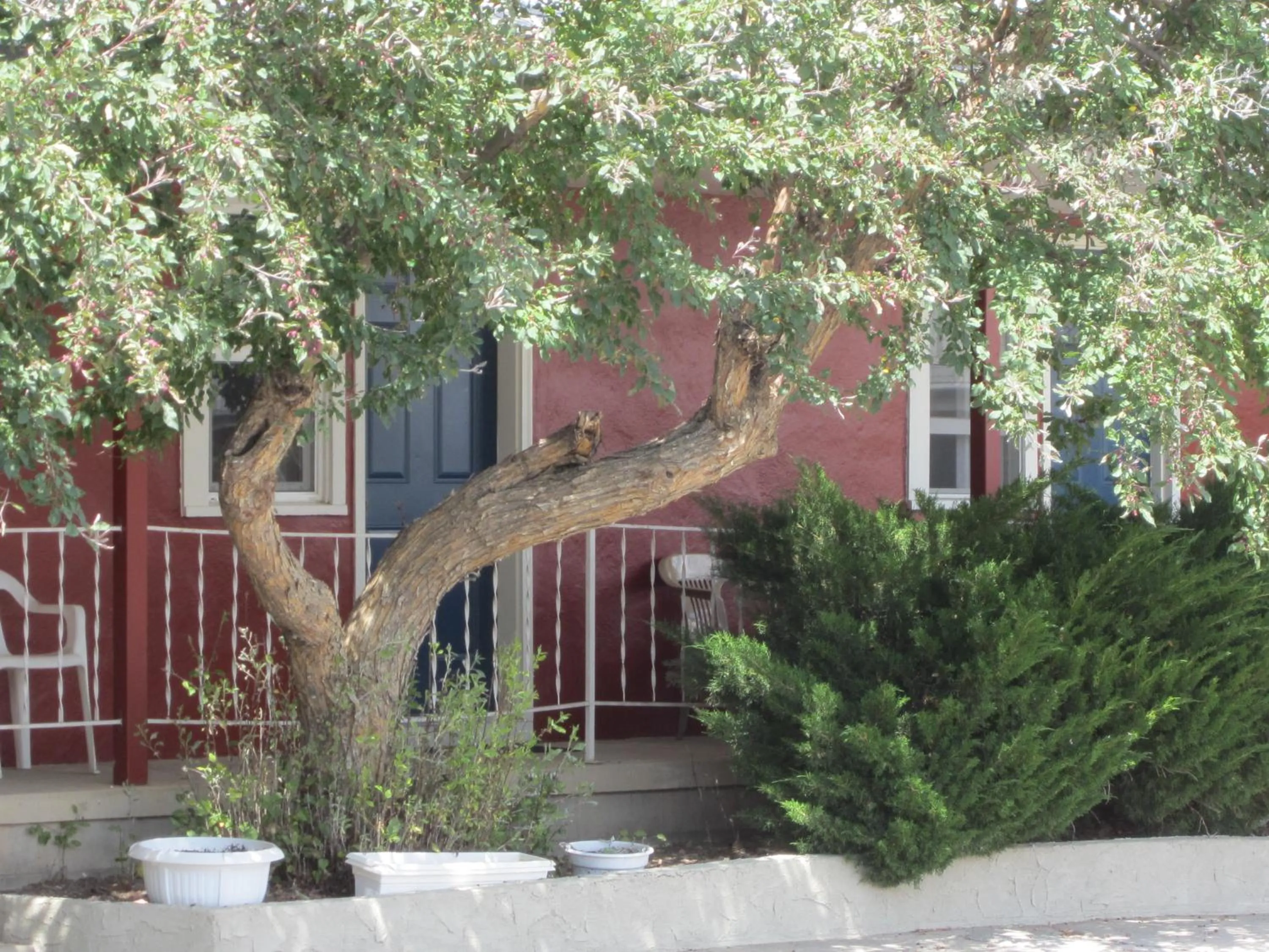 Garden in Big Horn Motel