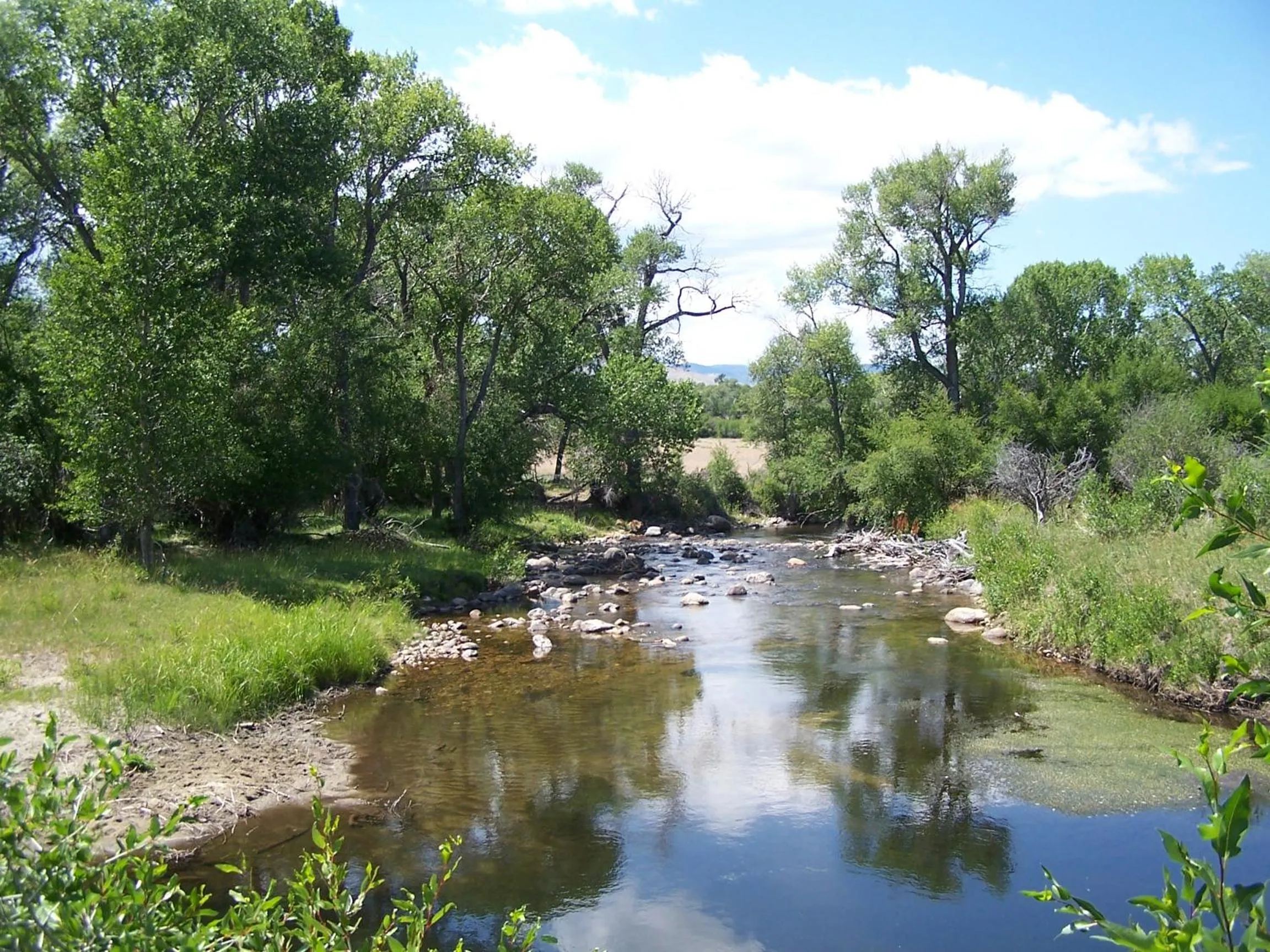 Day in Big Horn Motel