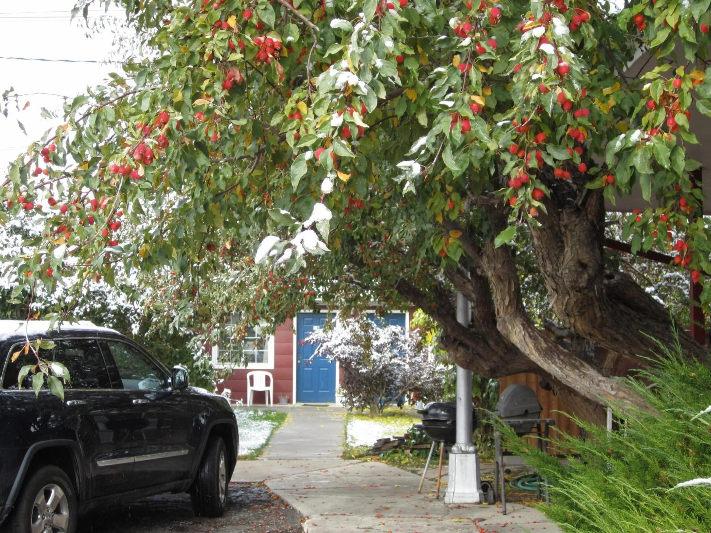 Property building in Big Horn Motel
