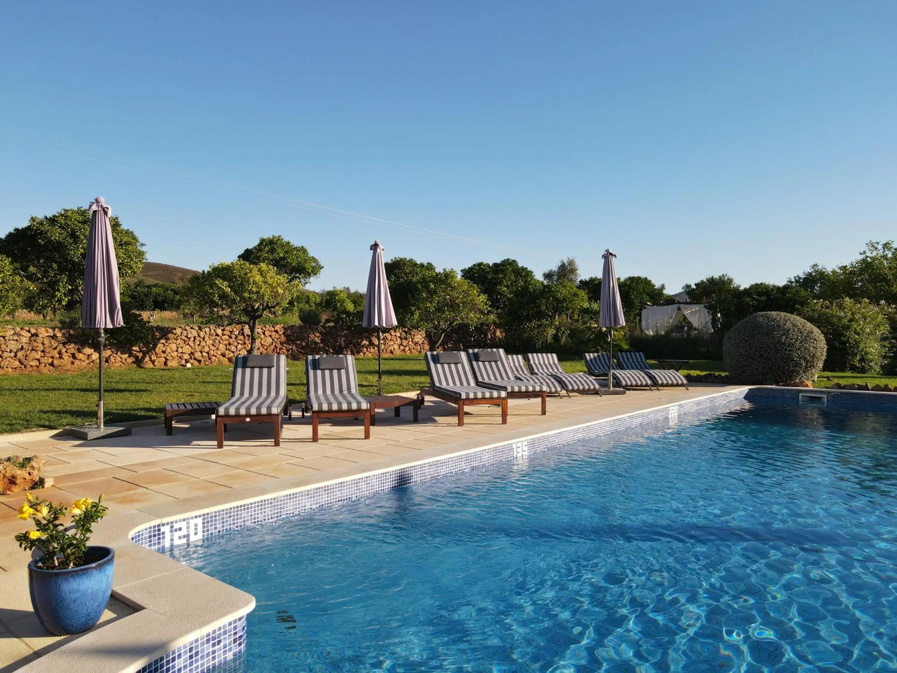 Garden in Quinta da Luz - A Luxury Boutique B&B