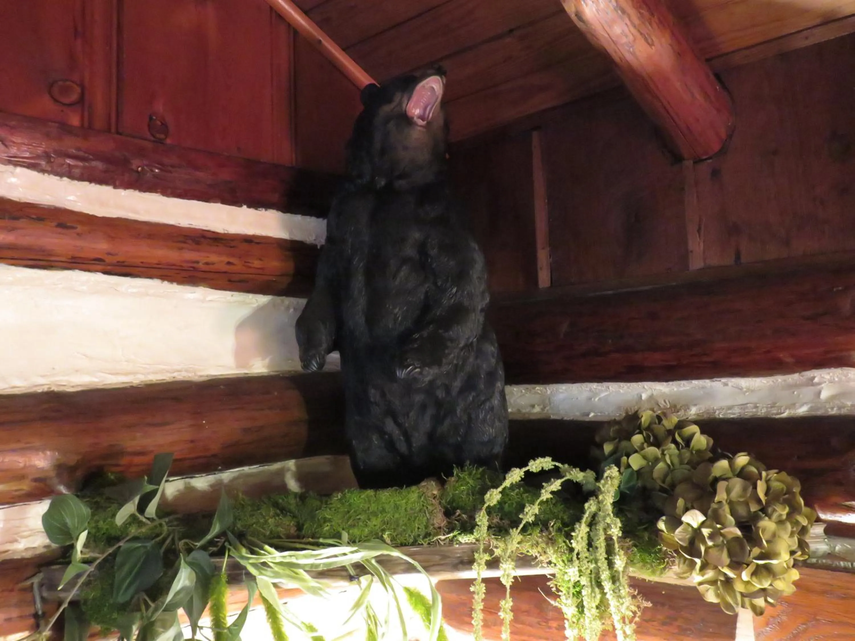 Decorative detail in Tall Pines Inn