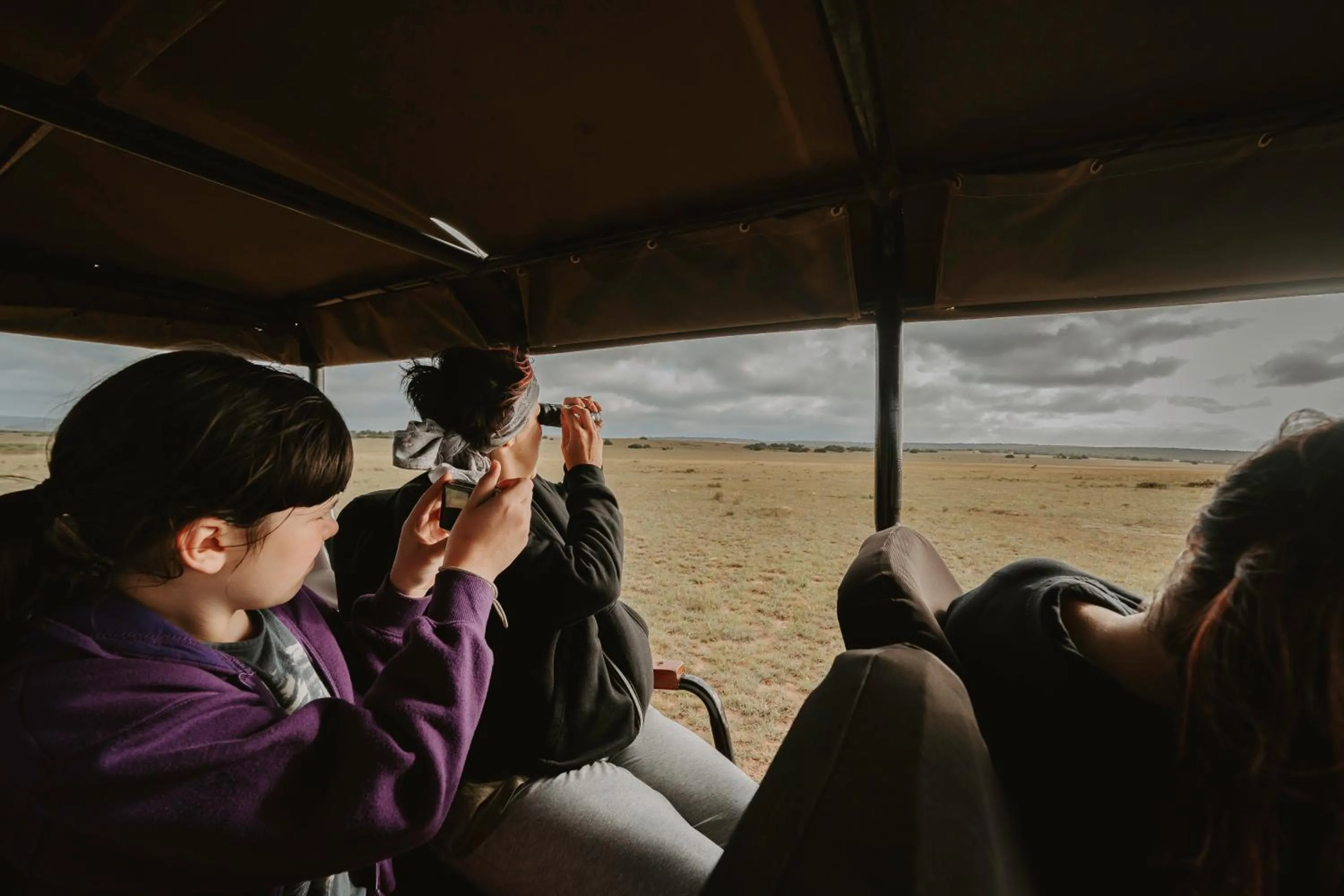 Natural landscape in Hlosi Game Lodge - Amakhala Game Reserve