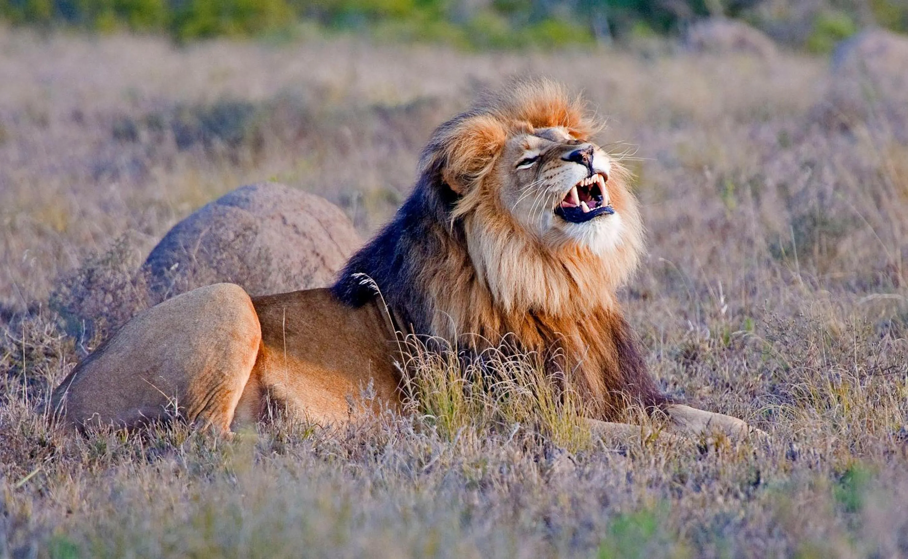 Other in Hlosi Game Lodge - Amakhala Game Reserve