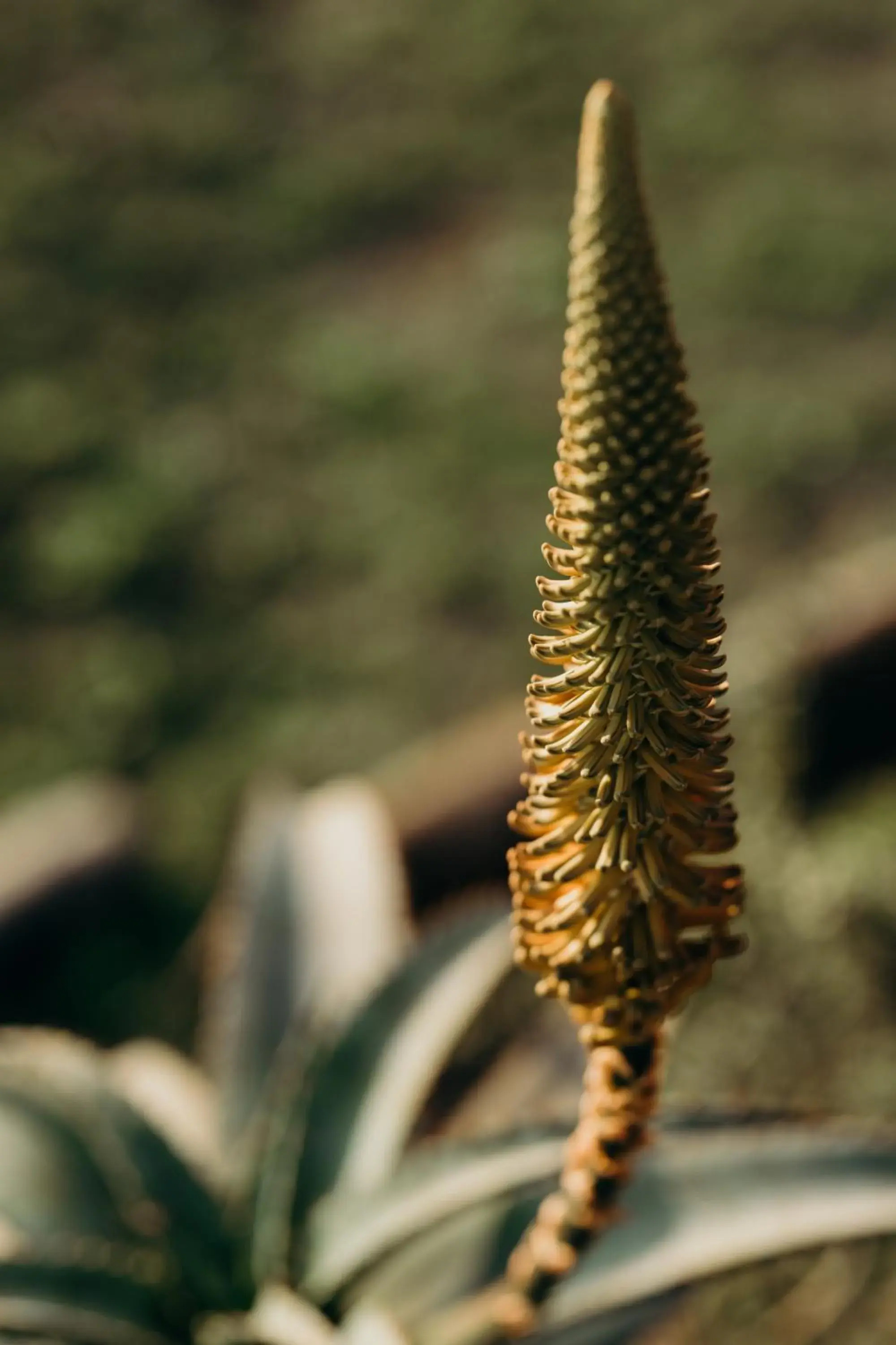 View (from property/room) in Hlosi Game Lodge - Amakhala Game Reserve View (from property/room) in Hlosi Game Lodge - Amakhala Game Reserve
