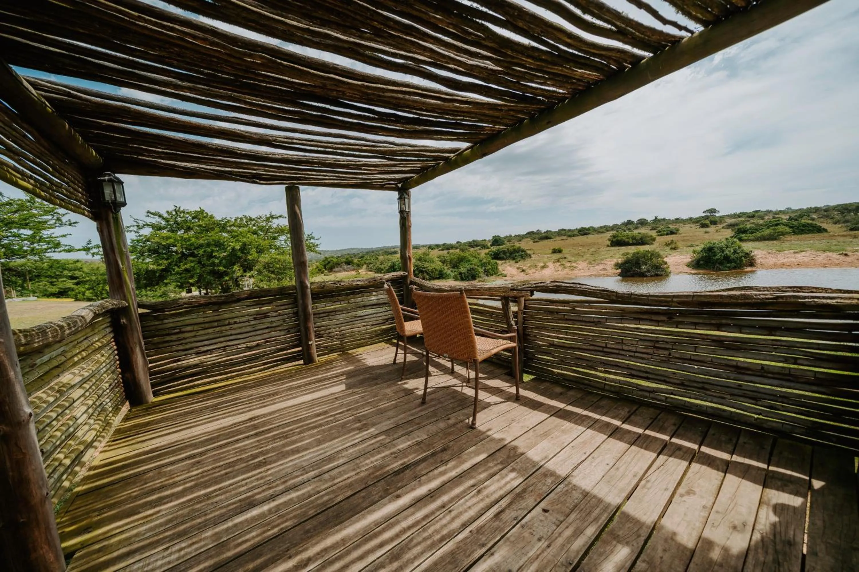 Natural landscape in Hlosi Game Lodge - Amakhala Game Reserve