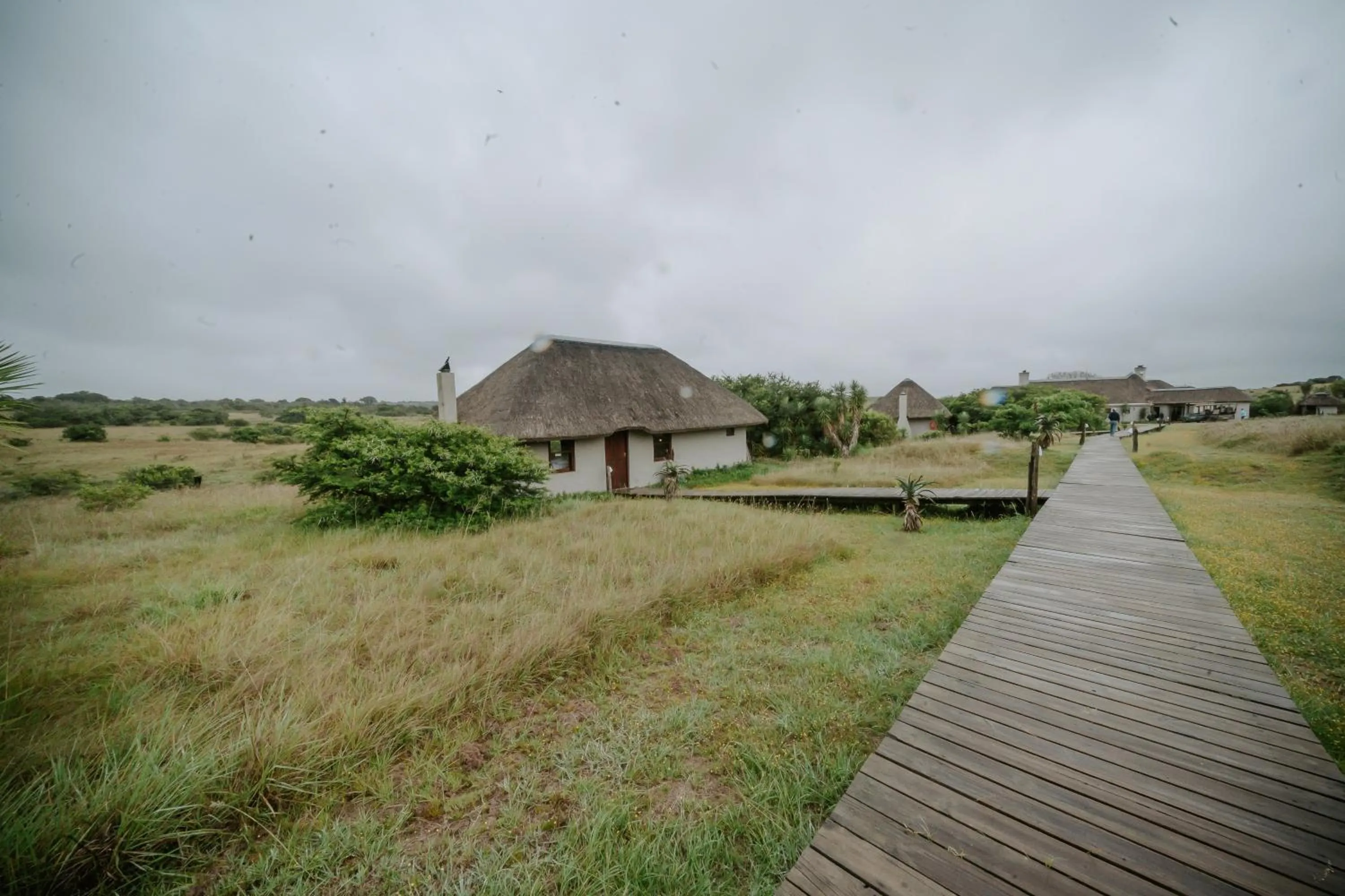 Property building in Hlosi Game Lodge - Amakhala Game Reserve