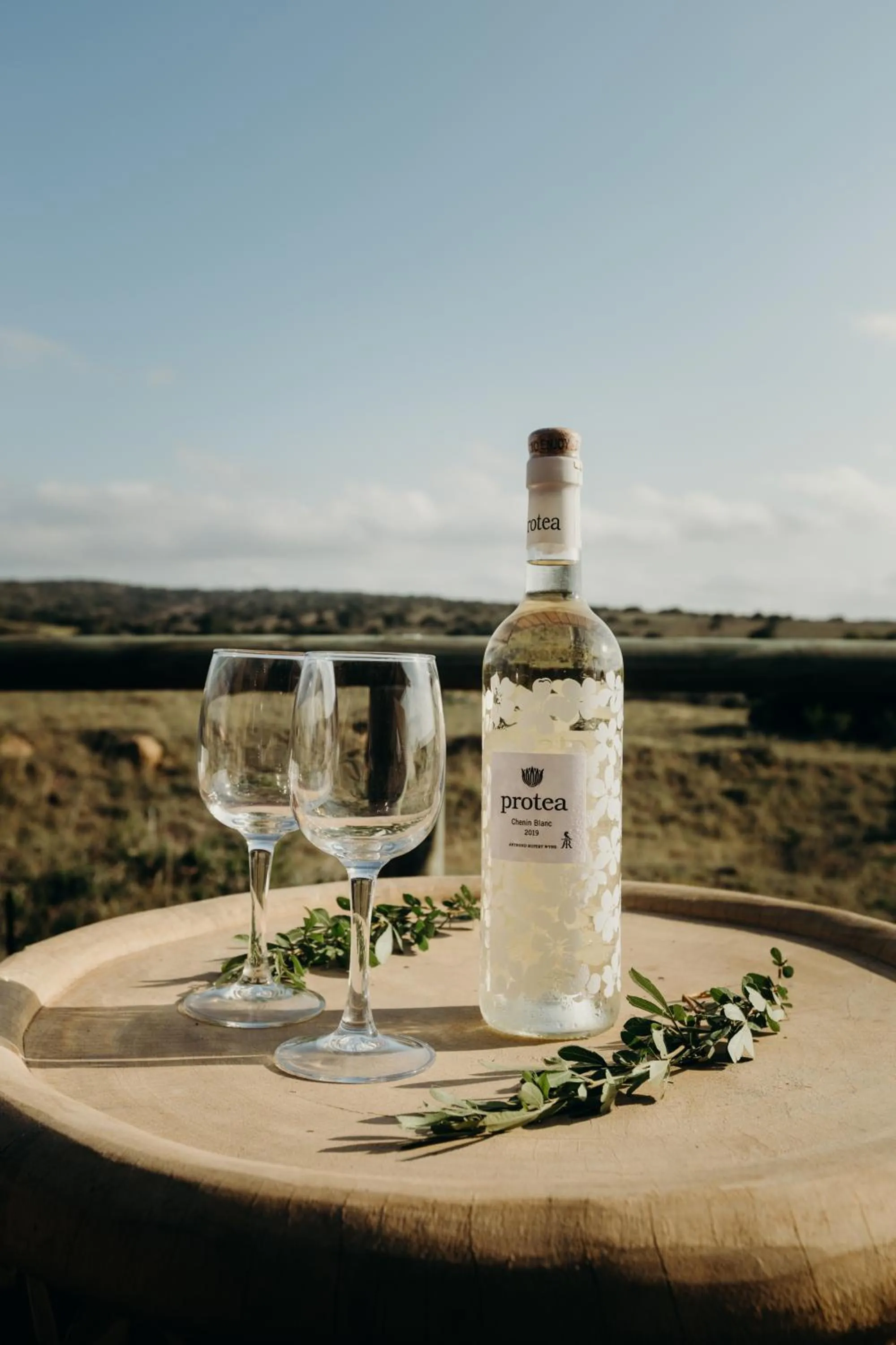 Alcoholic drinks in Hlosi Game Lodge - Amakhala Game Reserve