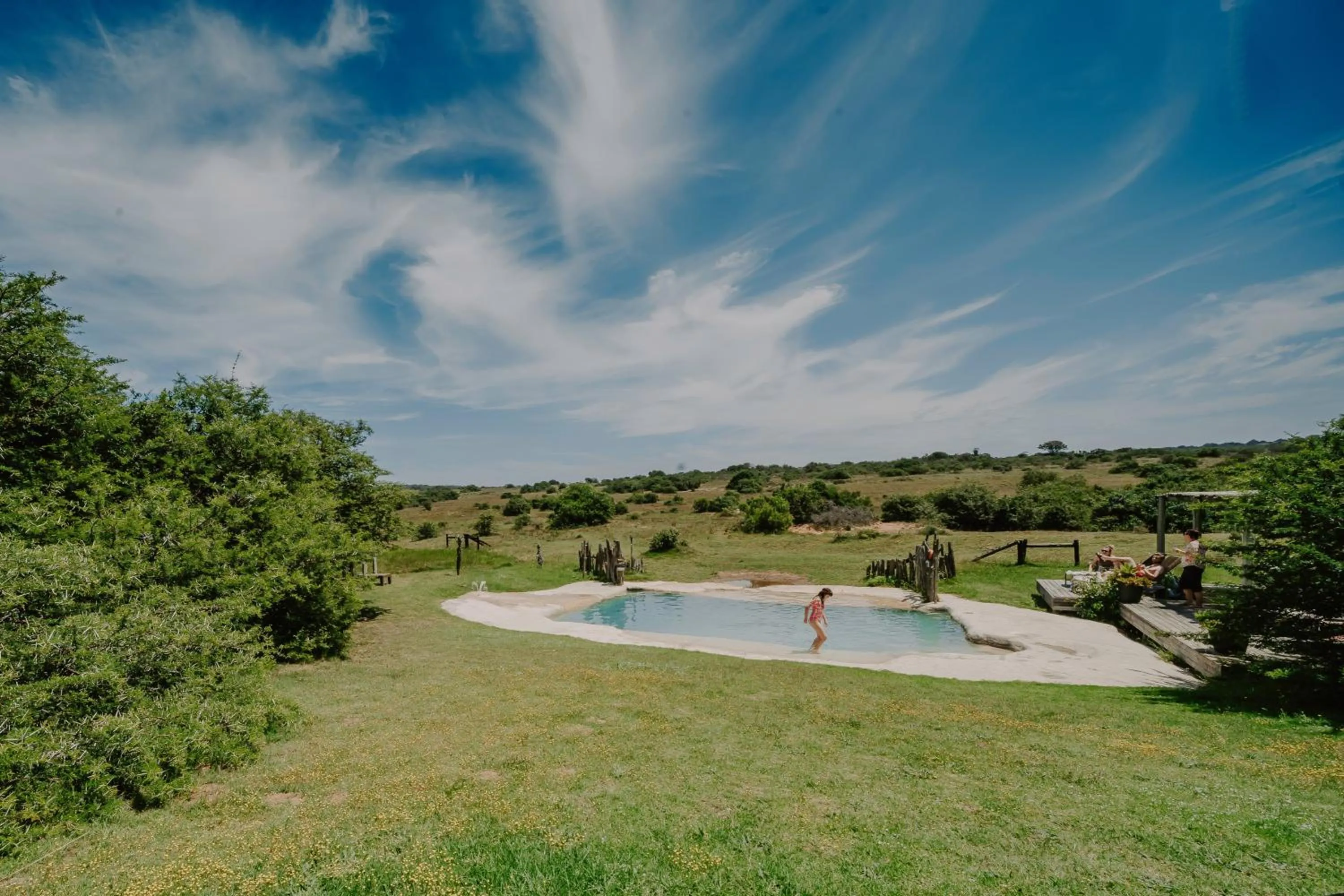 Natural landscape in Hlosi Game Lodge - Amakhala Game Reserve