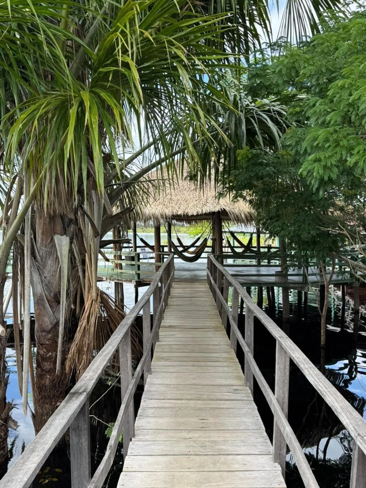 Amazônia LODGE Exxperience