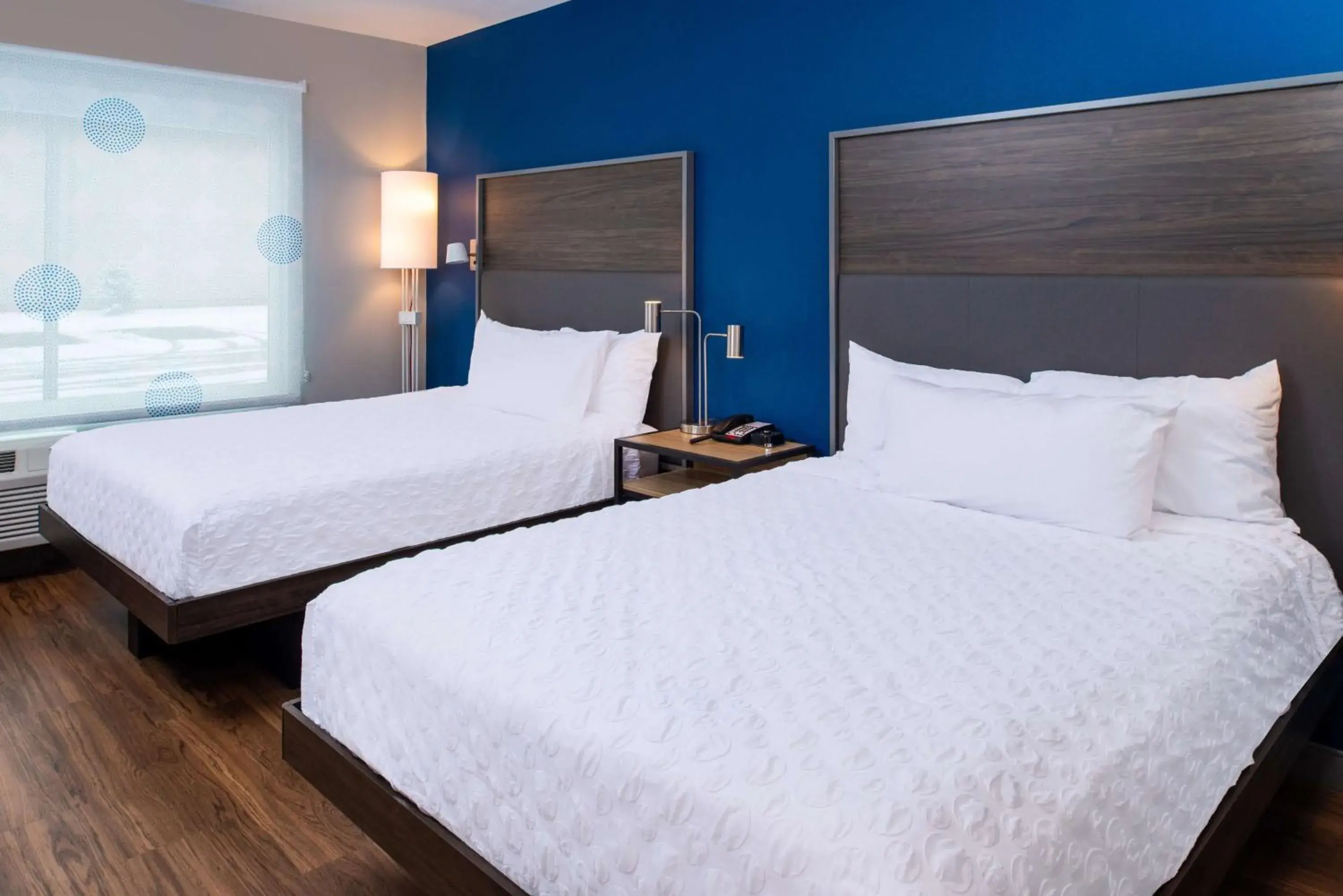 Bed in Tru By Hilton Elkhart, In Bed in Tru By Hilton Elkhart, In