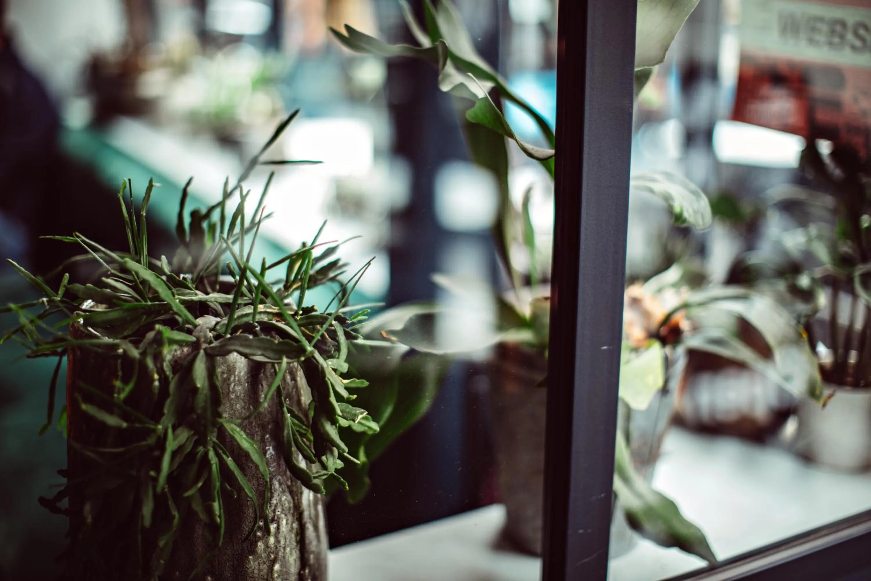 Decorative detail in Hotel Monsieur Helder