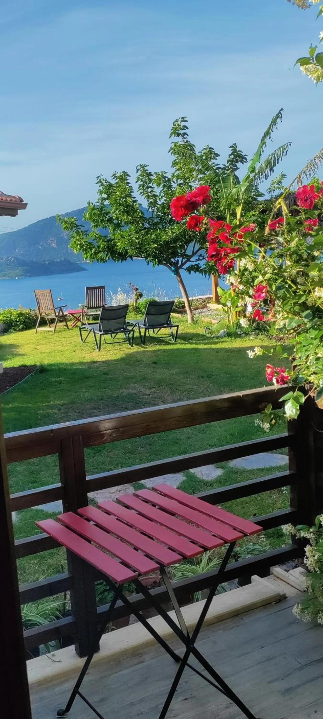 Garden view in Harmanyeri Tatilevi