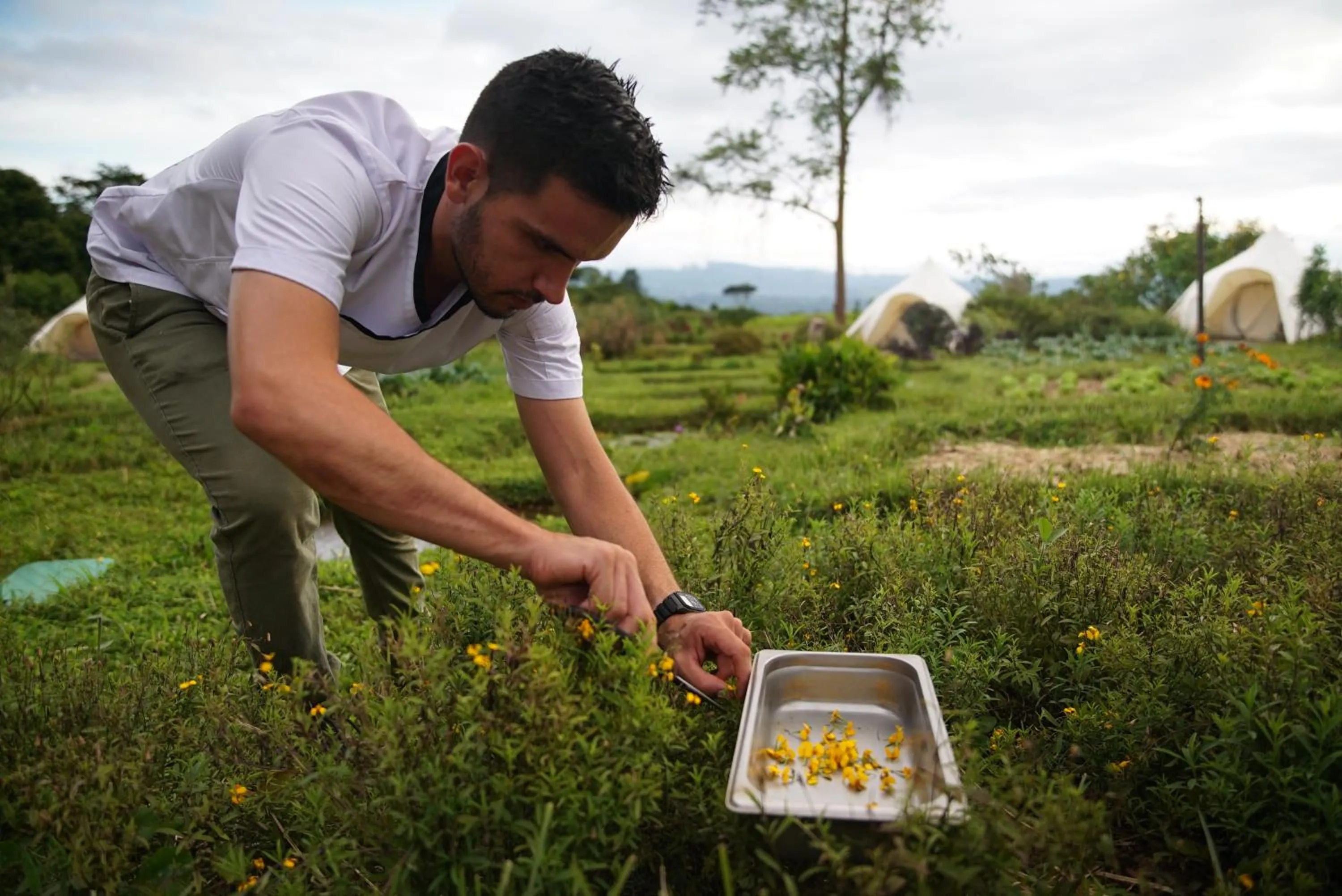 Garden in Kinkara Luxury Retreat