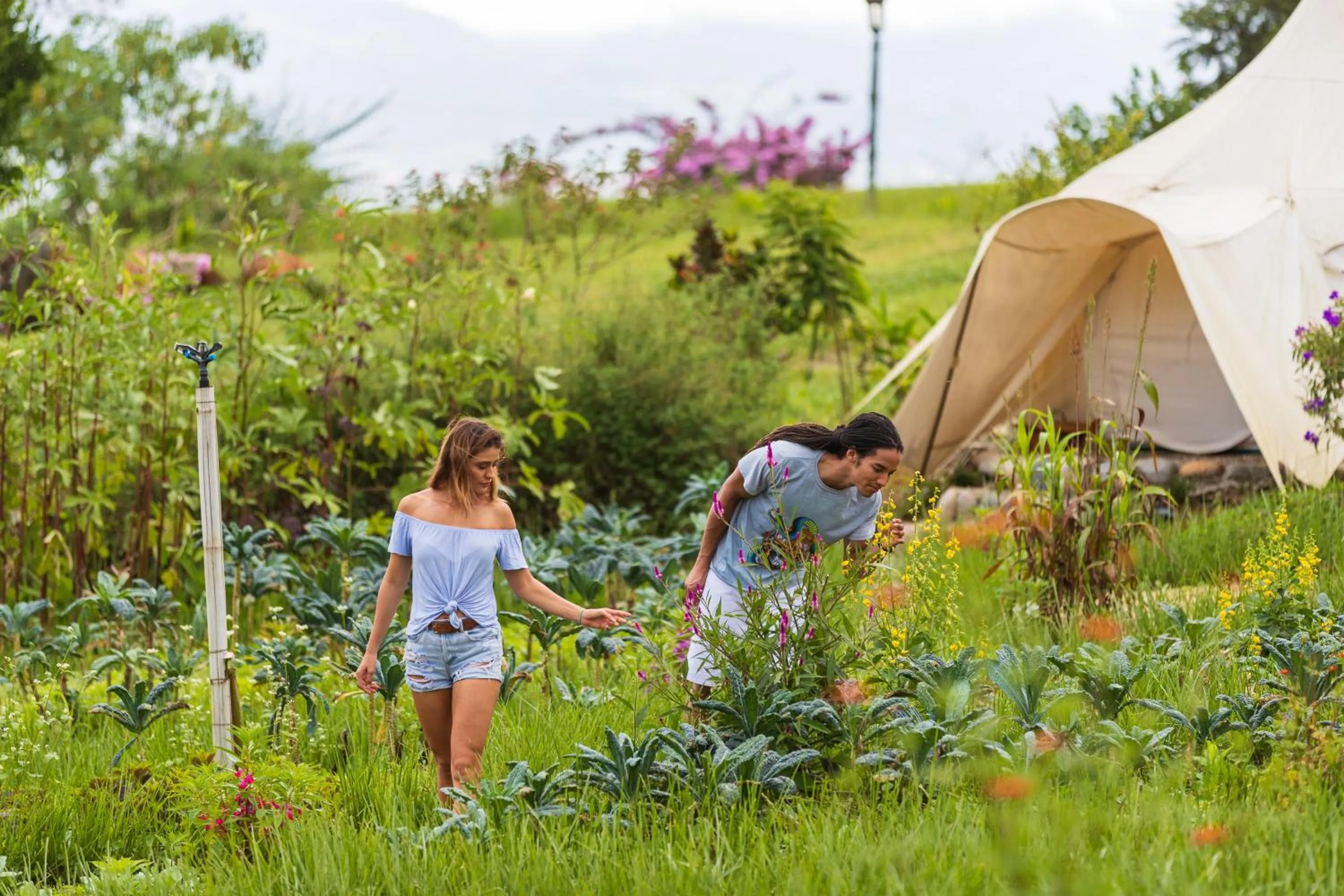 Activities in Kinkara Luxury Retreat