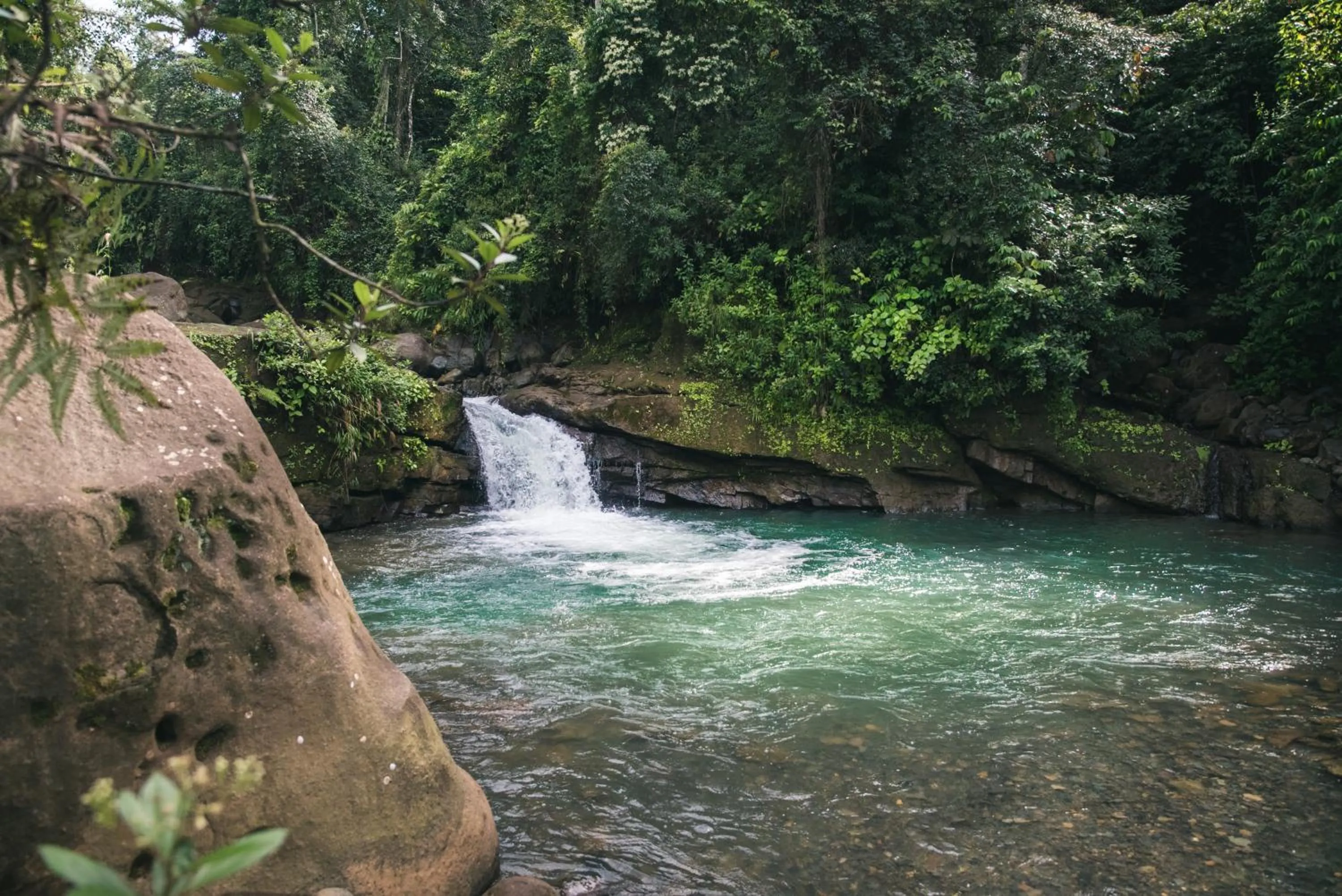 Natural landscape in Kinkara Luxury Retreat