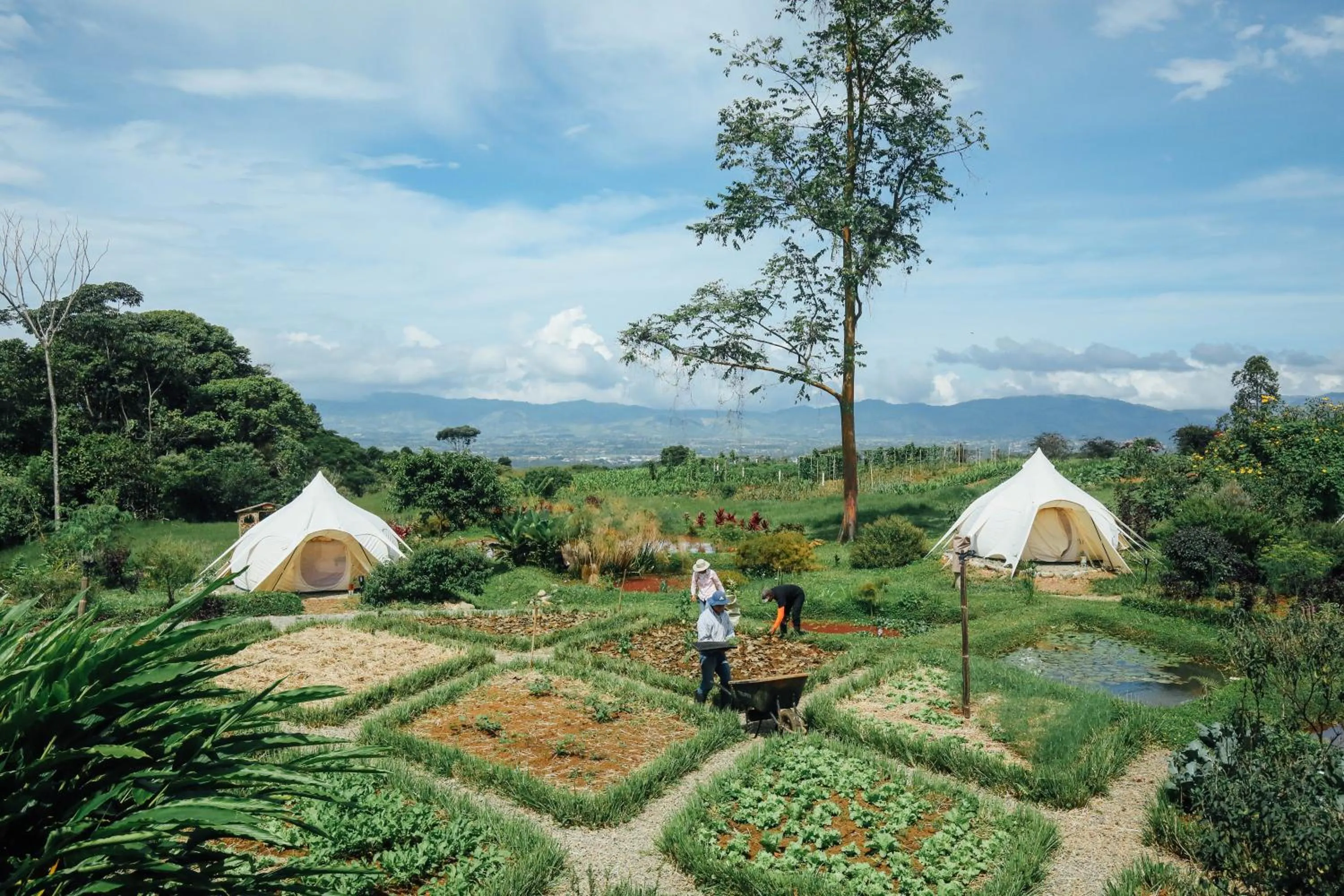 Natural landscape in Kinkara Luxury Retreat