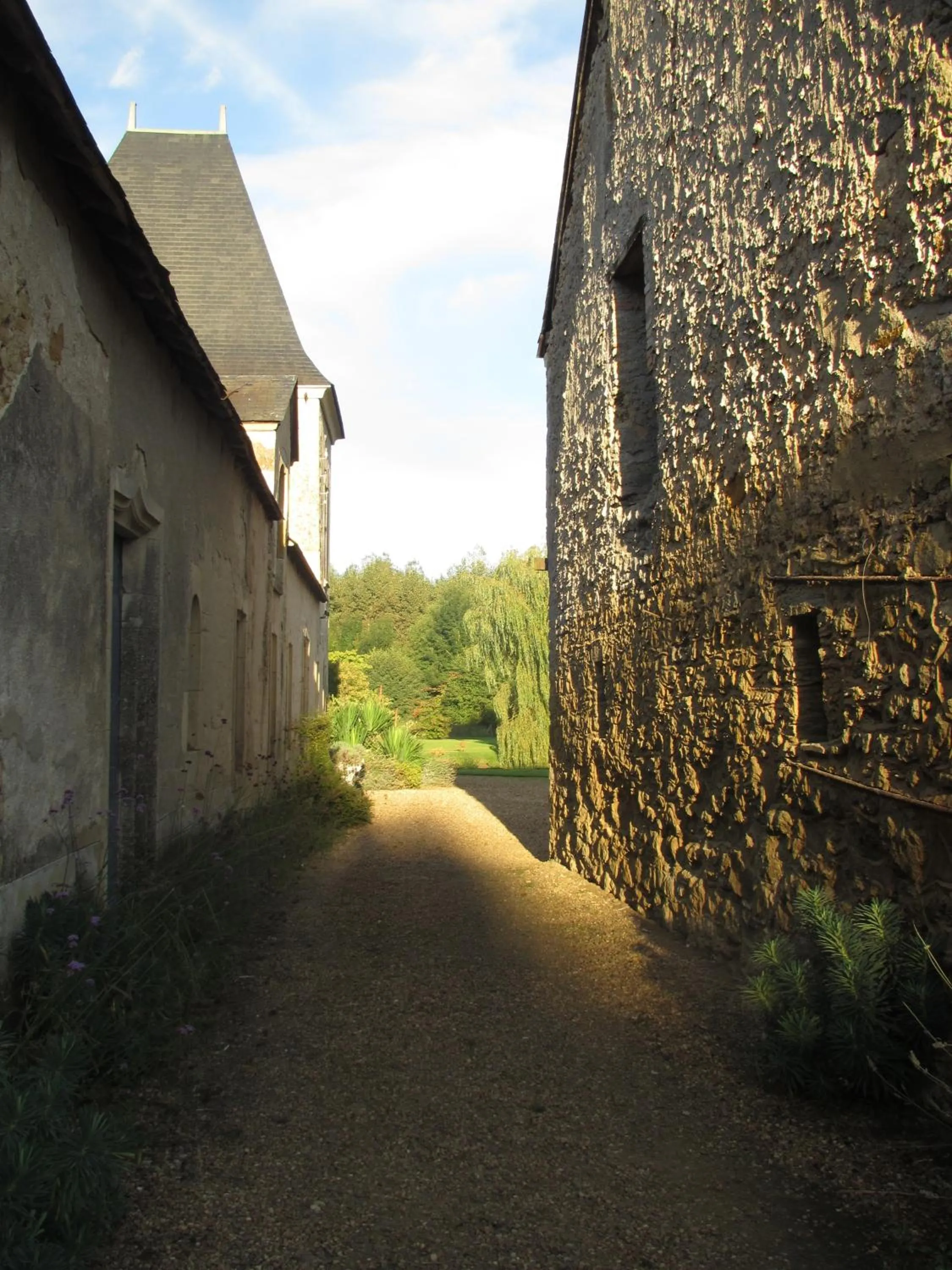 Area and facilities in Château de Vaulogé