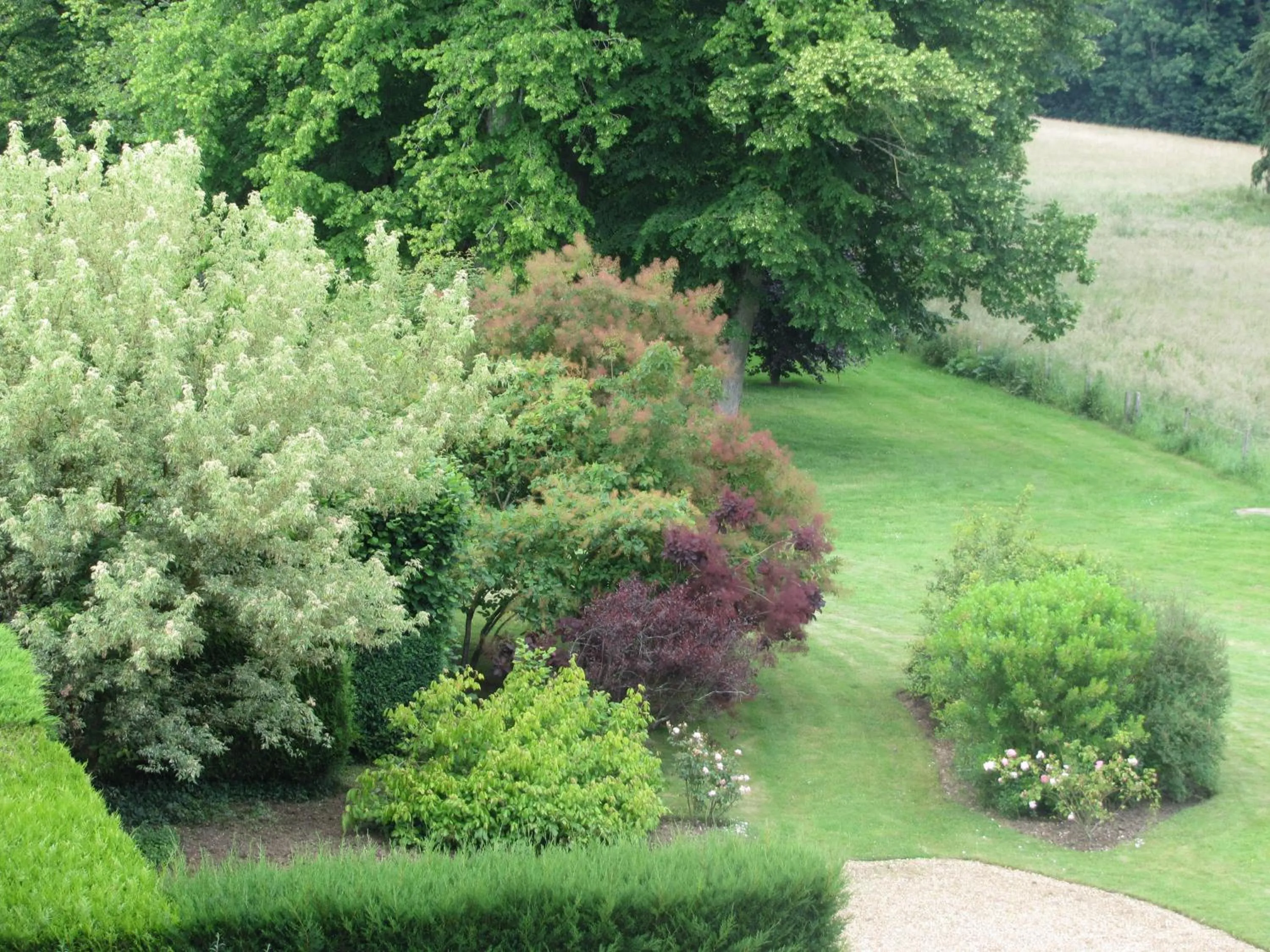 Garden in Château de Vaulogé