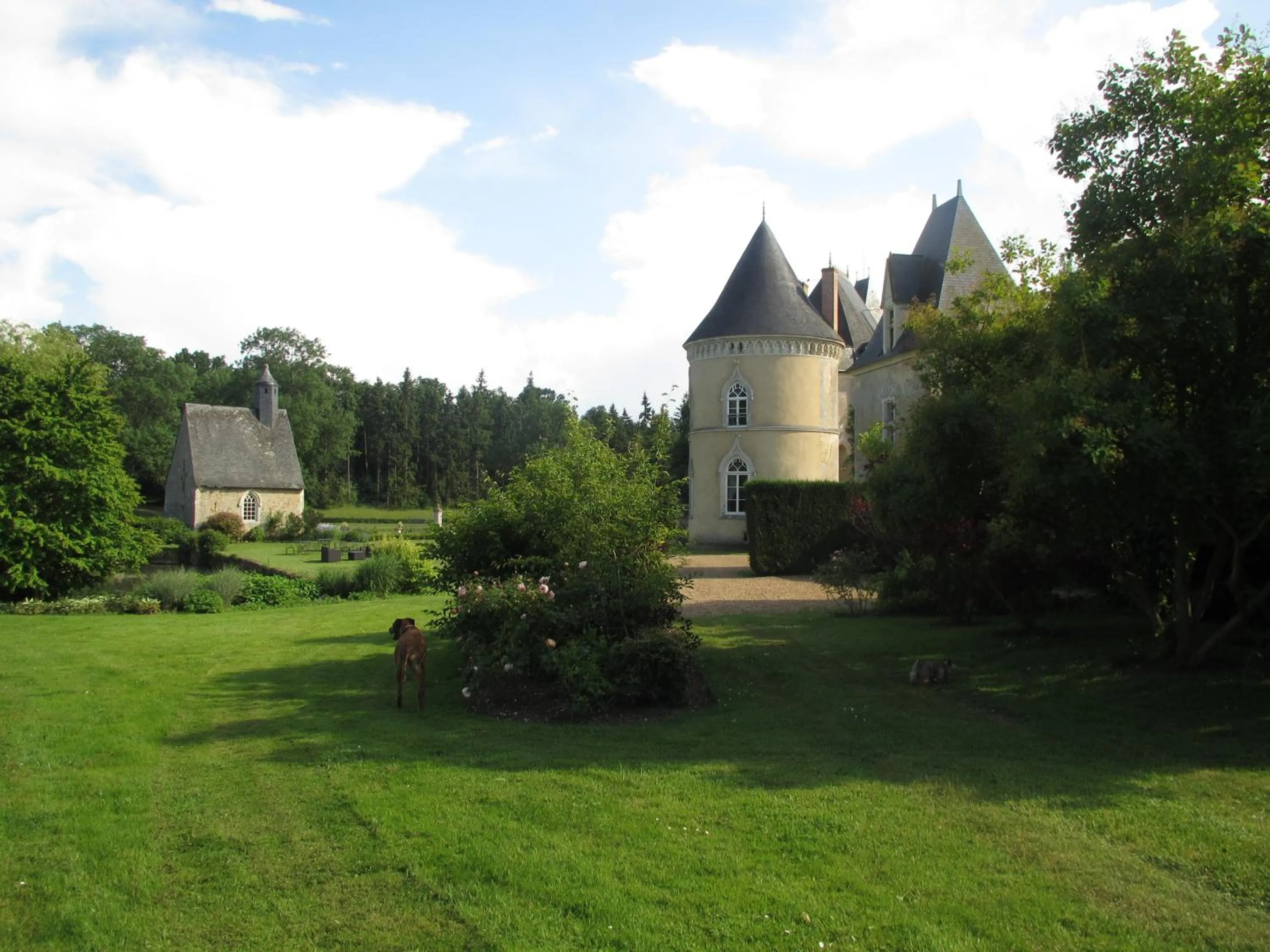Area and facilities in Château de Vaulogé