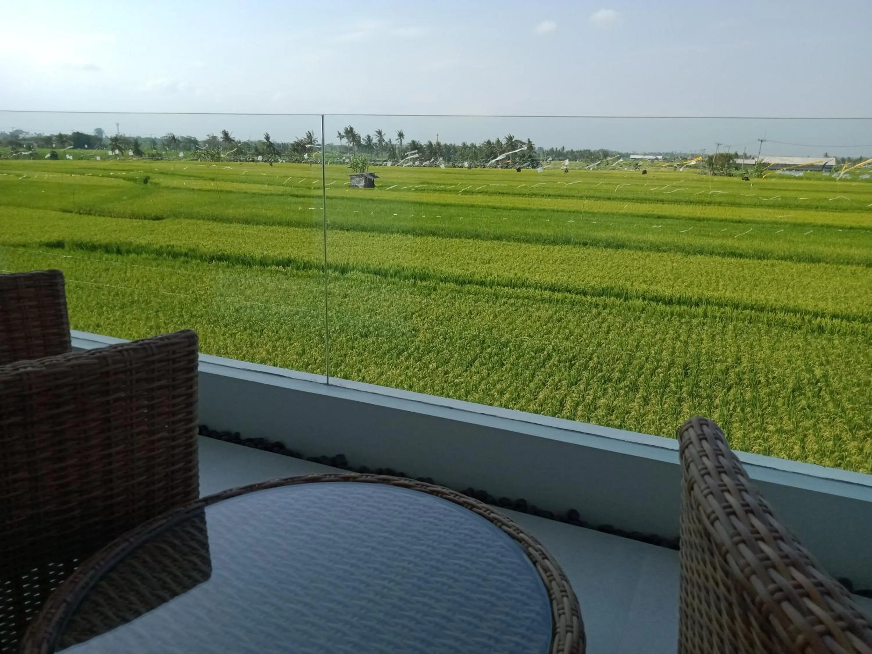 View (from property/room) in Bali Harmony Retreat