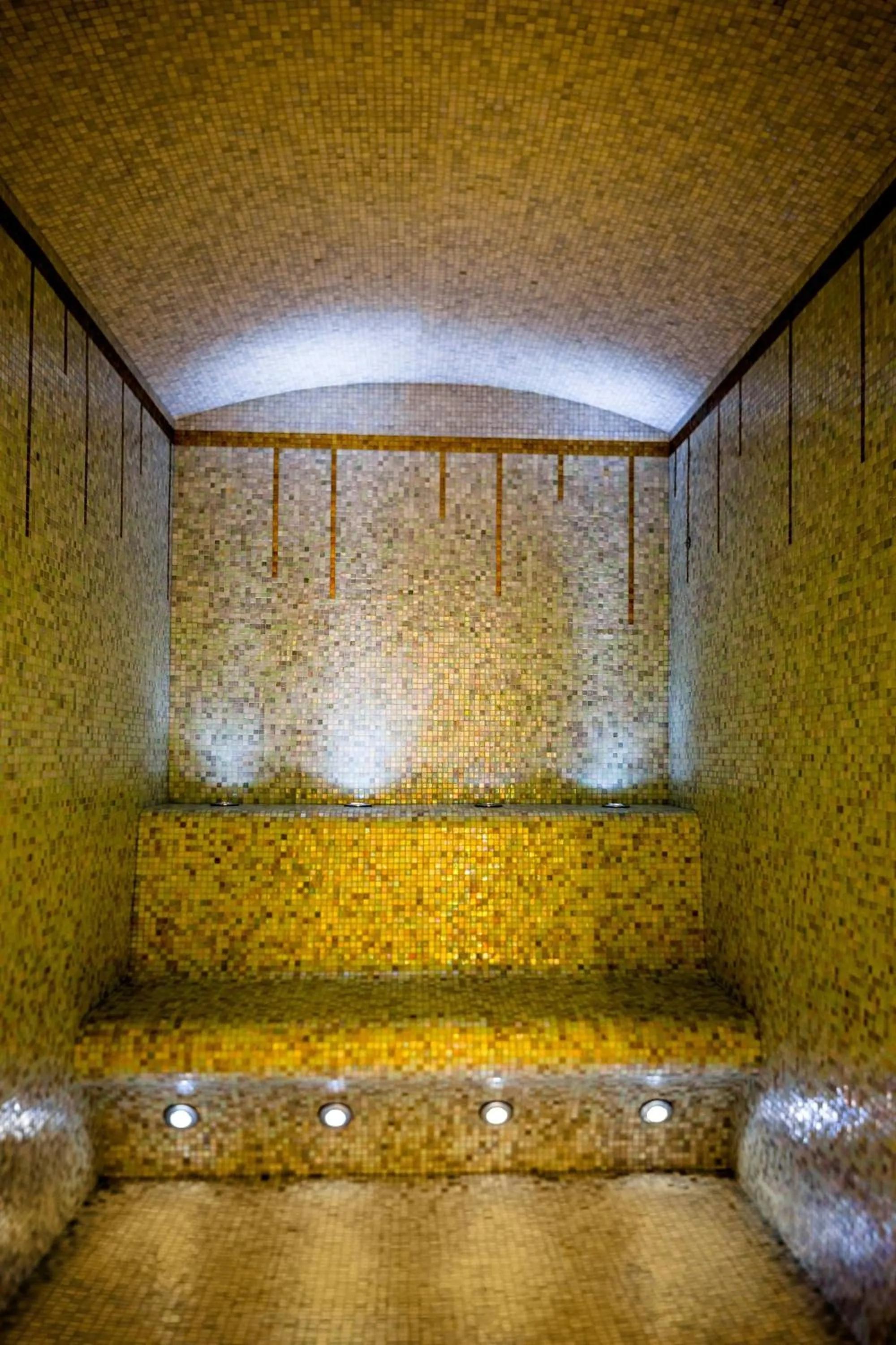 Spa and wellness centre/facilities in Prince de Galles, a Luxury Collection hotel, Paris