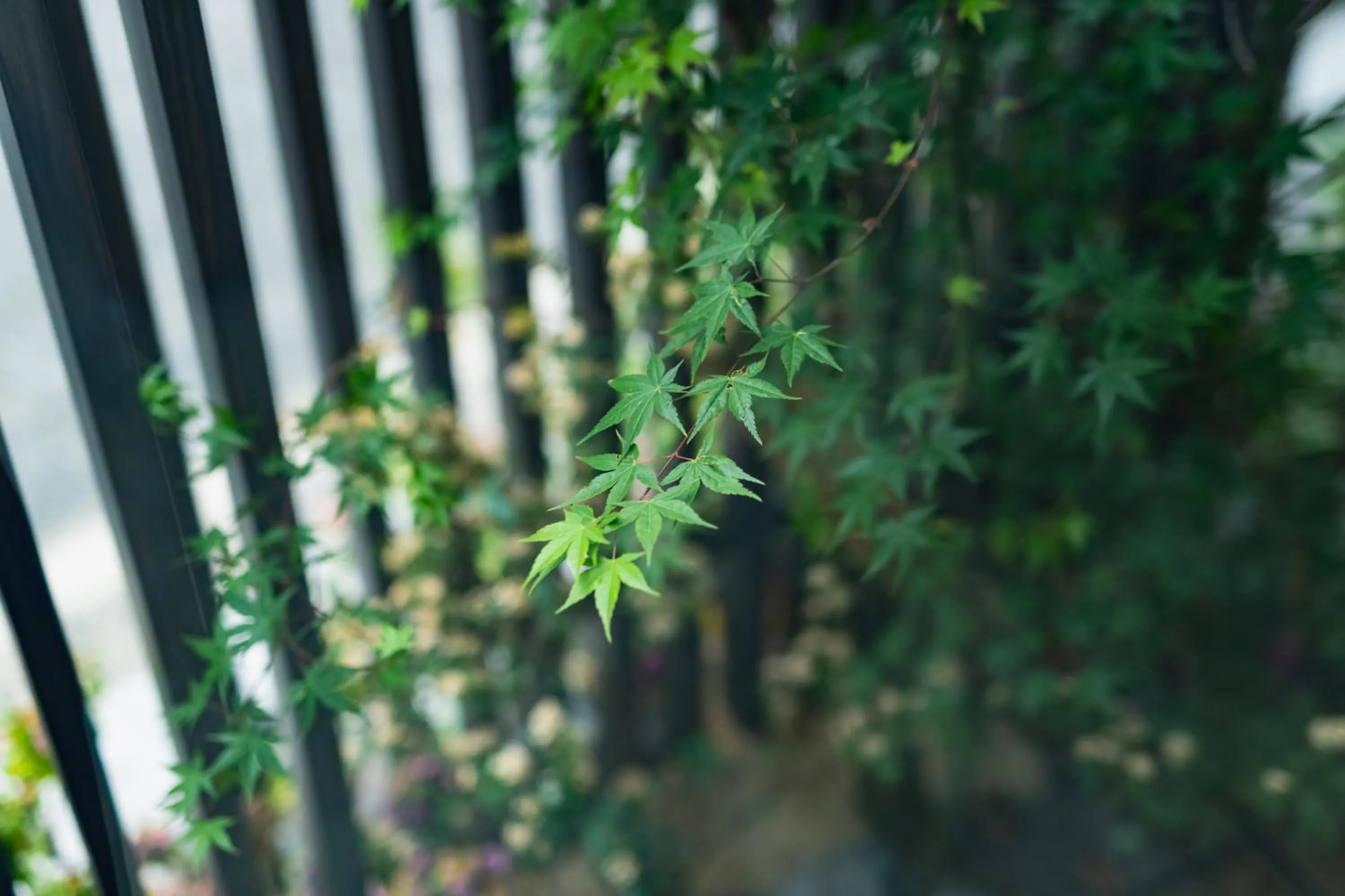 Neighbourhood in GRAND BASE Mojiko