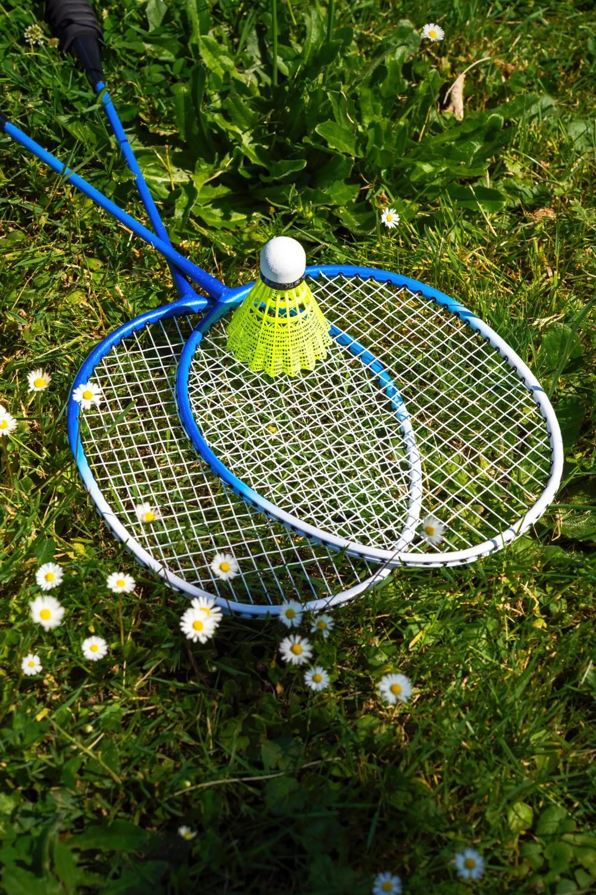 Activities in Waldorf Astoria Versailles - Trianon Palace