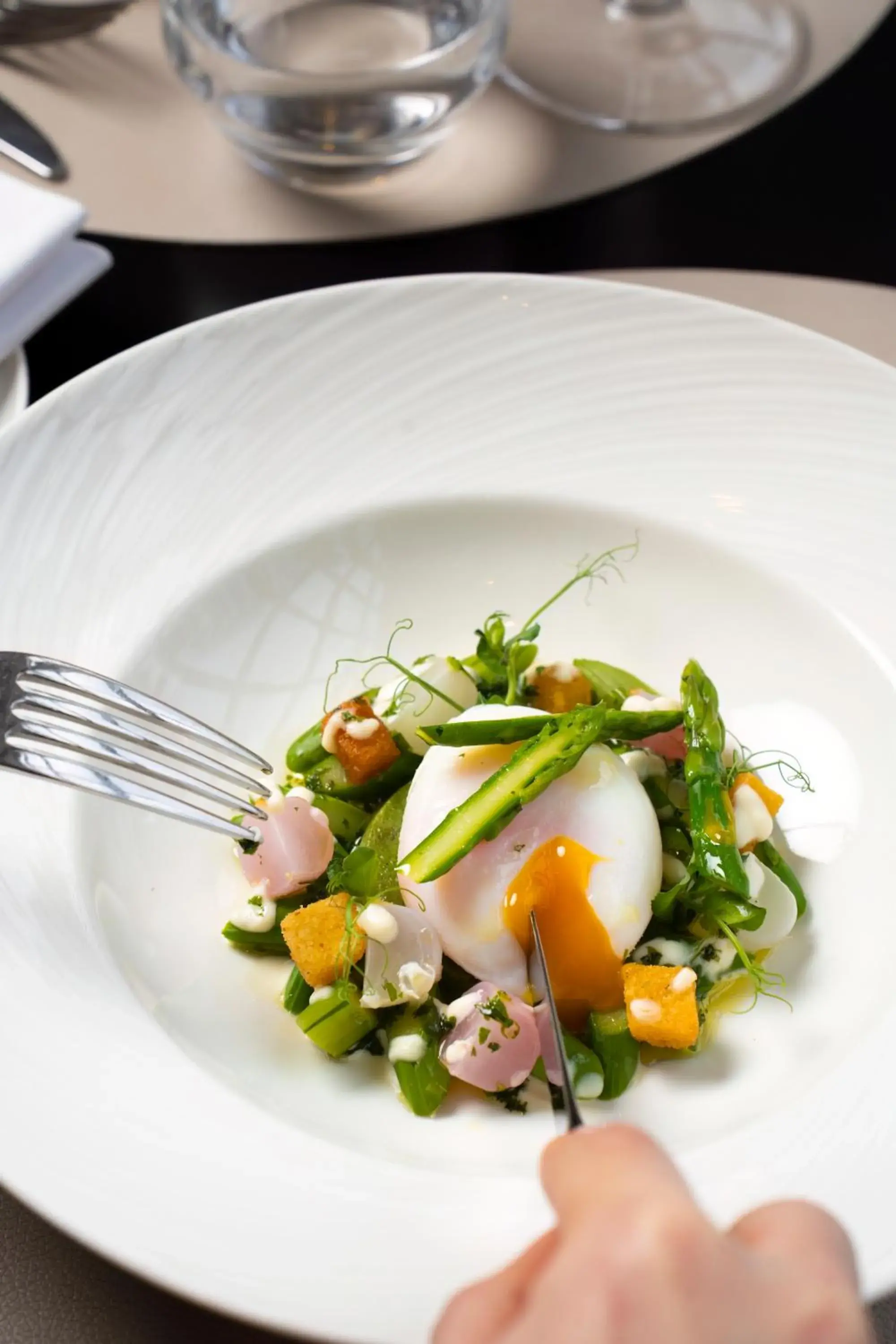 Restaurant/places to eat in Waldorf Astoria Versailles - Trianon Palace Restaurant/places to eat in Waldorf Astoria Versailles - Trianon Palace