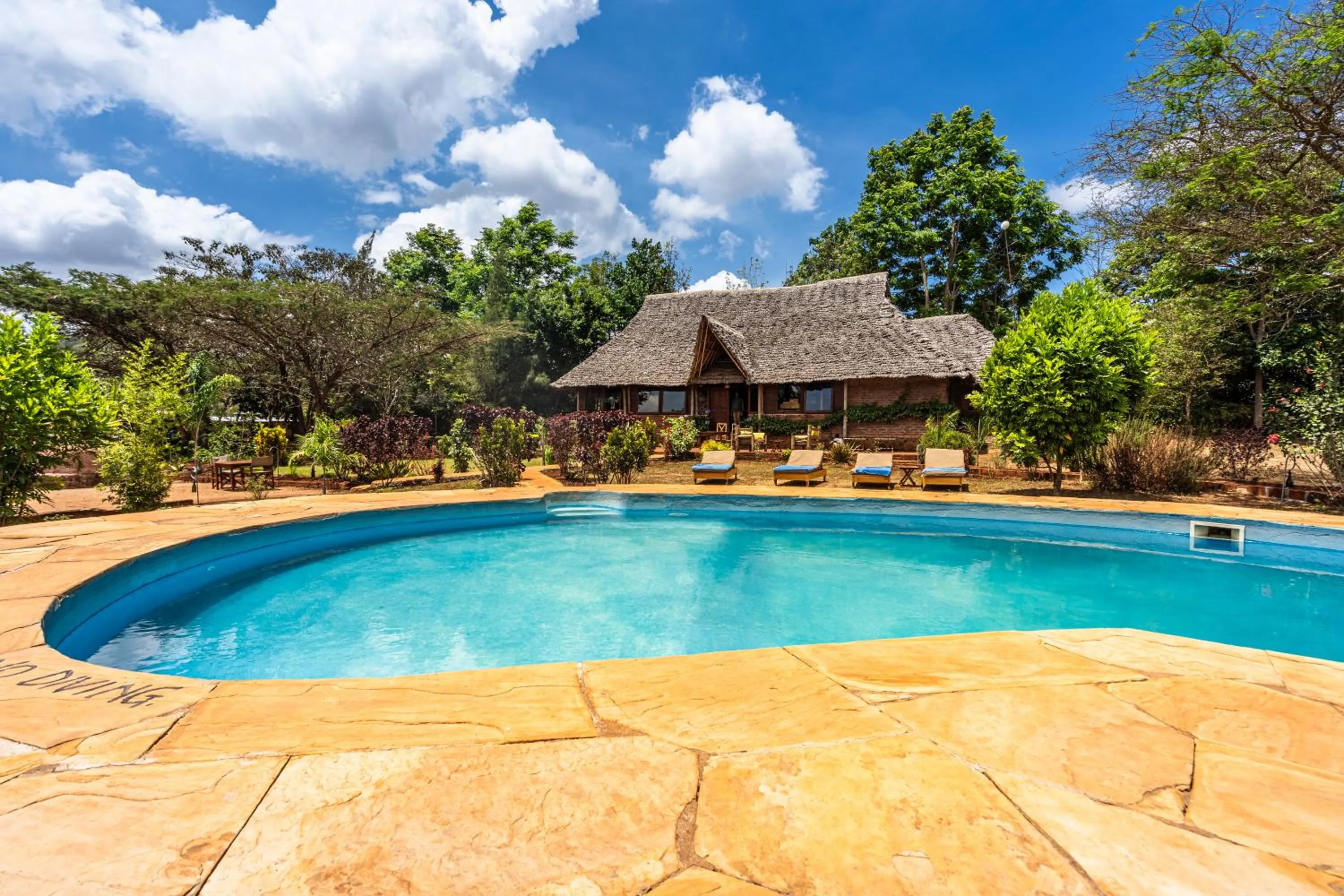 Pool view in Karatu Tented Lodge