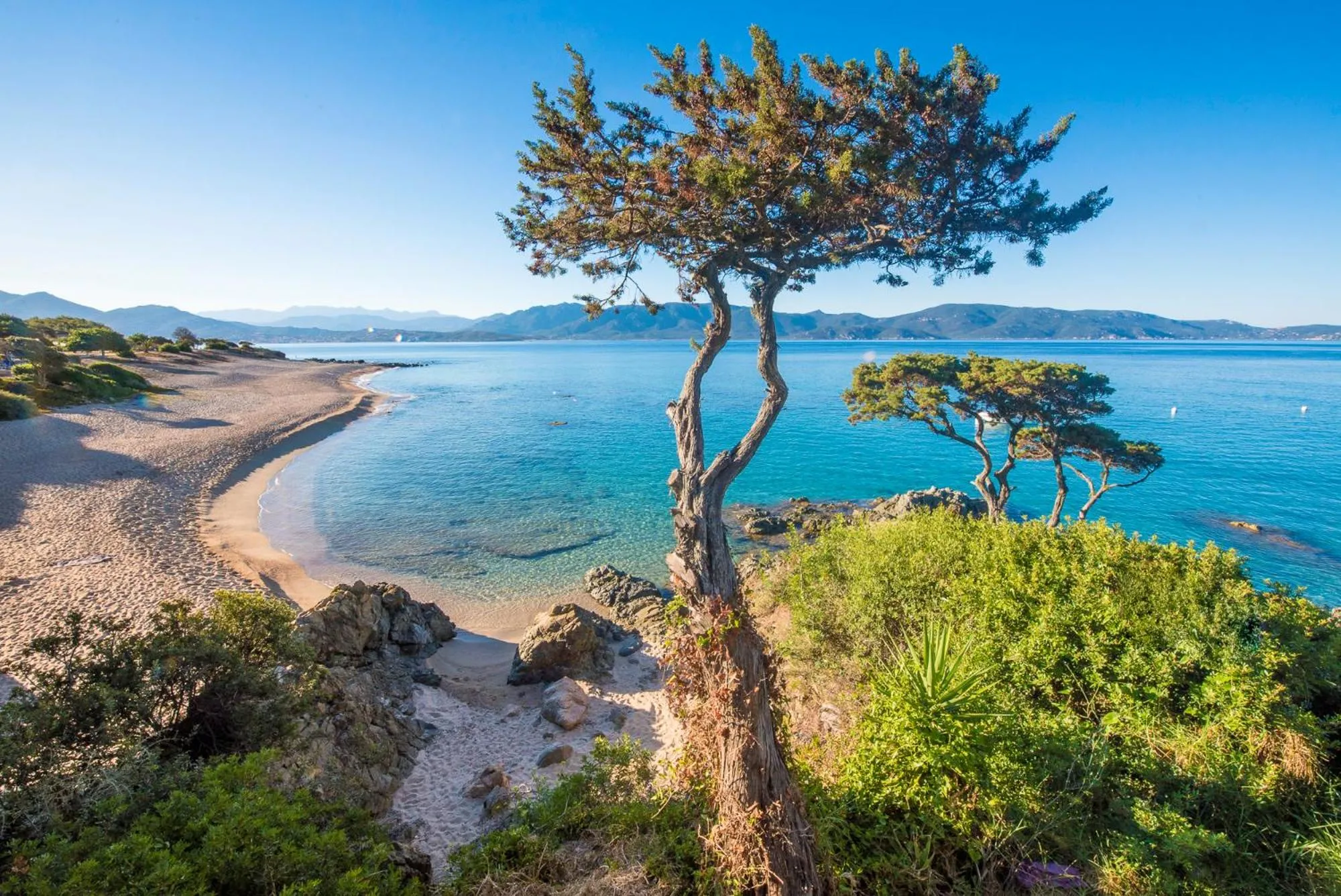 Sea view in Résidence Arco Plage