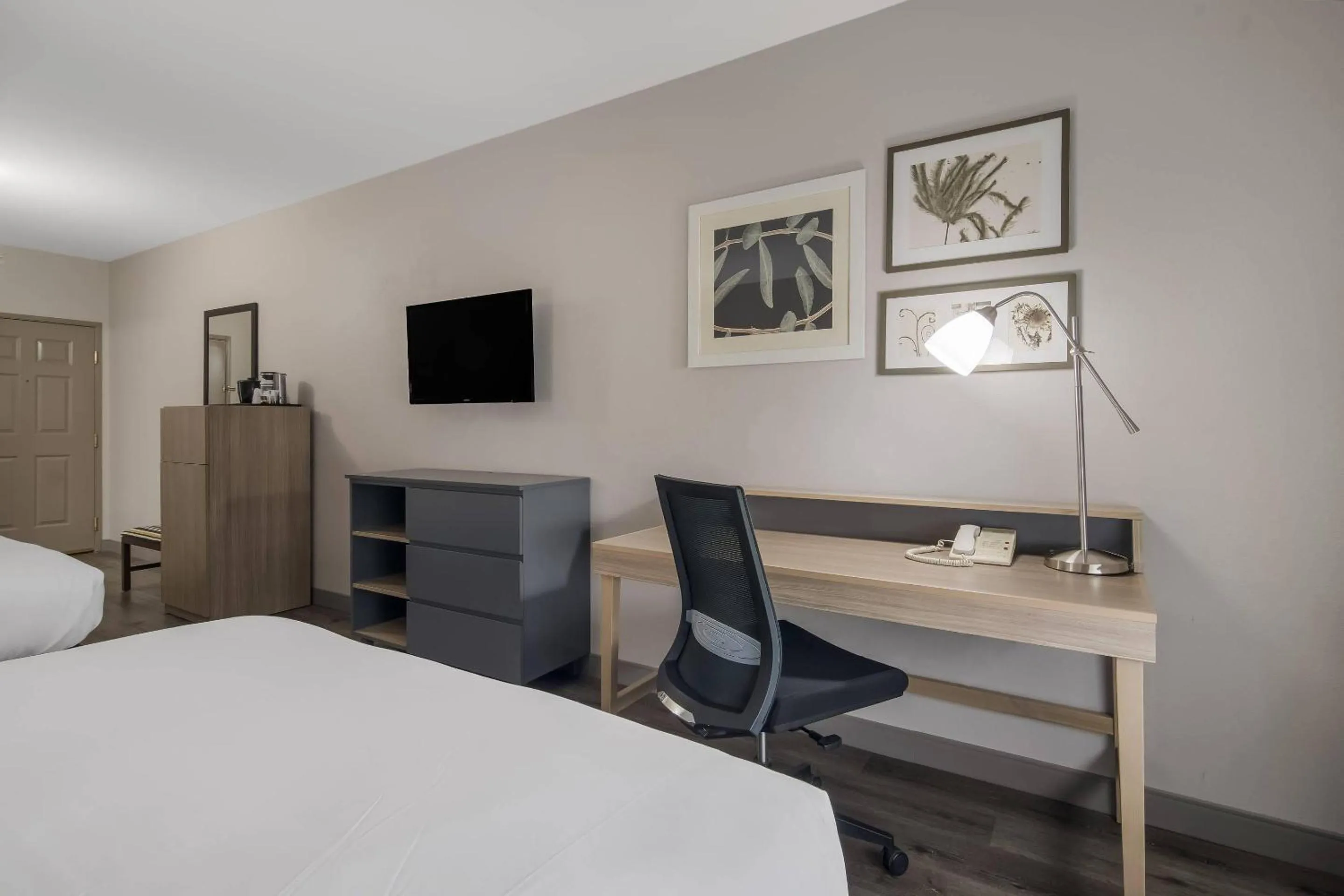 Bedroom, Bed in Country Inn & Suites by Radisson, Goldsboro, NC