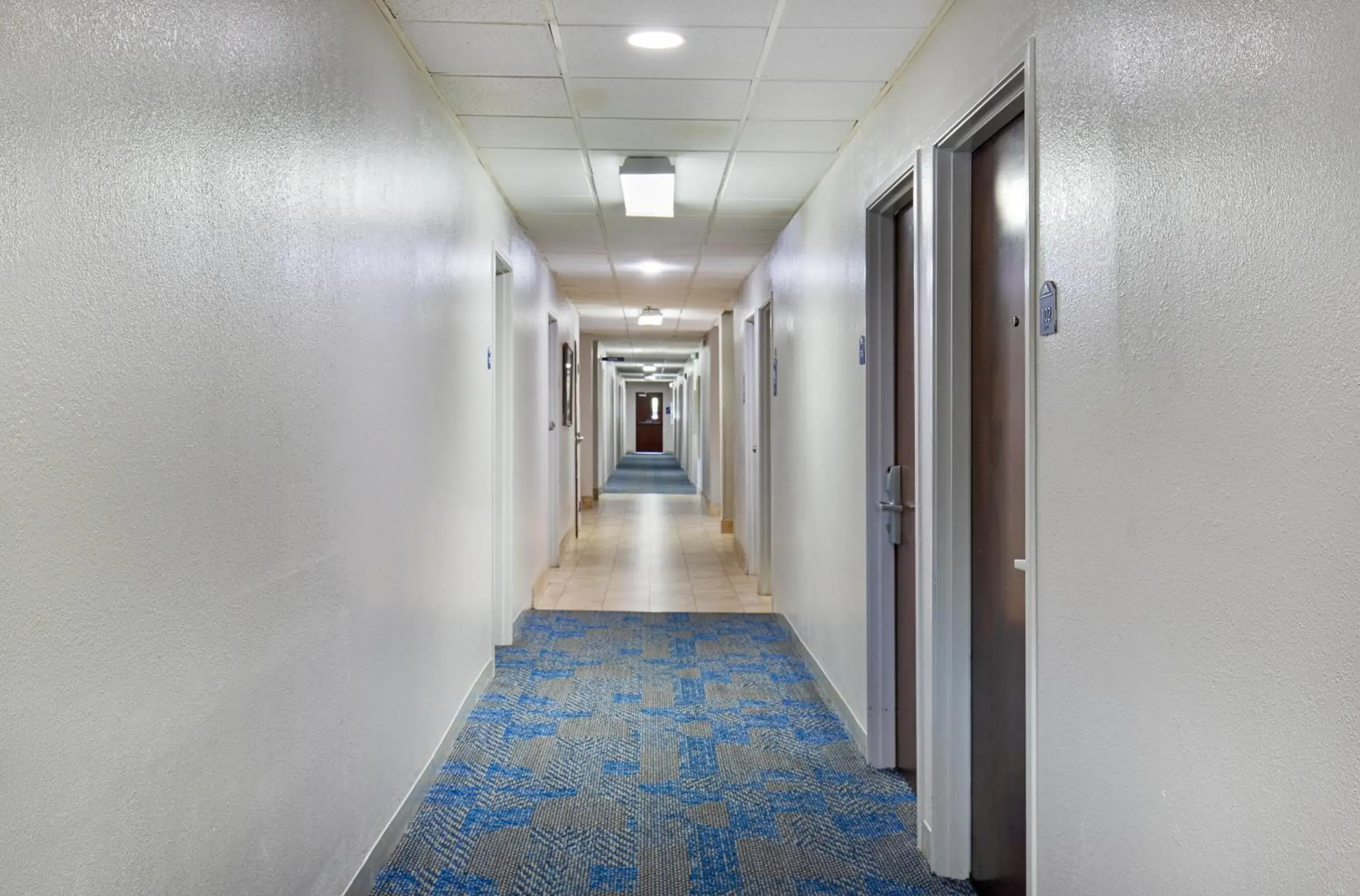 Property building in Microtel Inn & Suites by Wyndham Cordova Memphis I-40 East Property building in Microtel Inn & Suites by Wyndham Cordova Memphis I-40 East