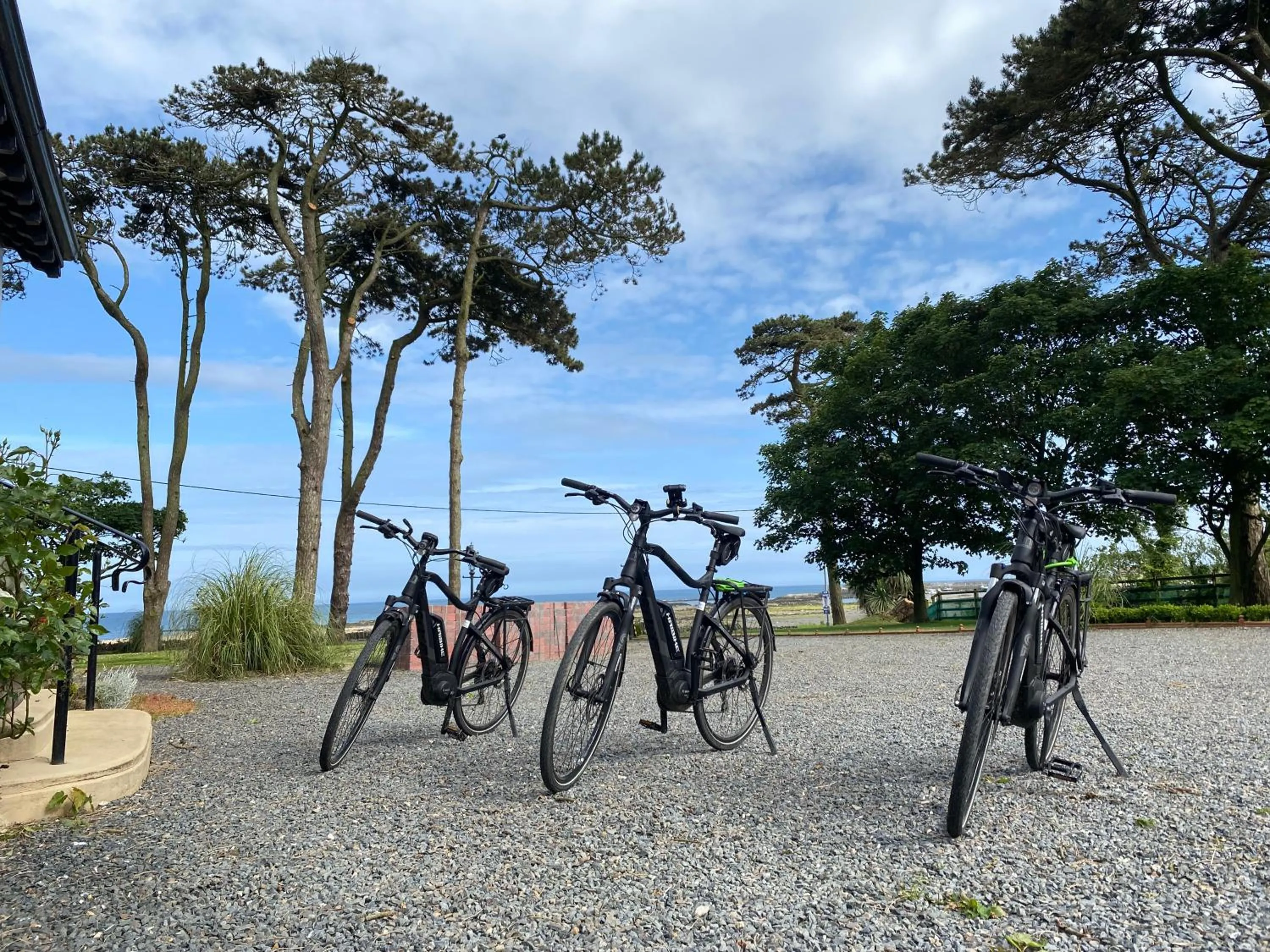 Facade/entrance in The Old Vicarage NI B&B