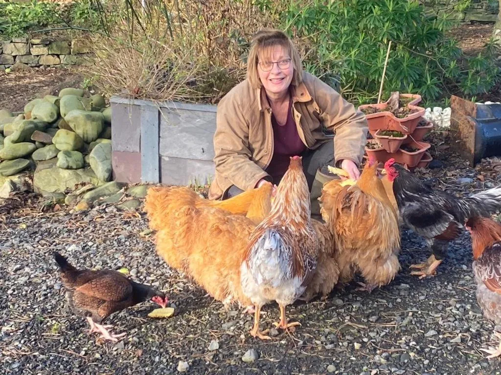 Garden in The Old Vicarage NI B&B