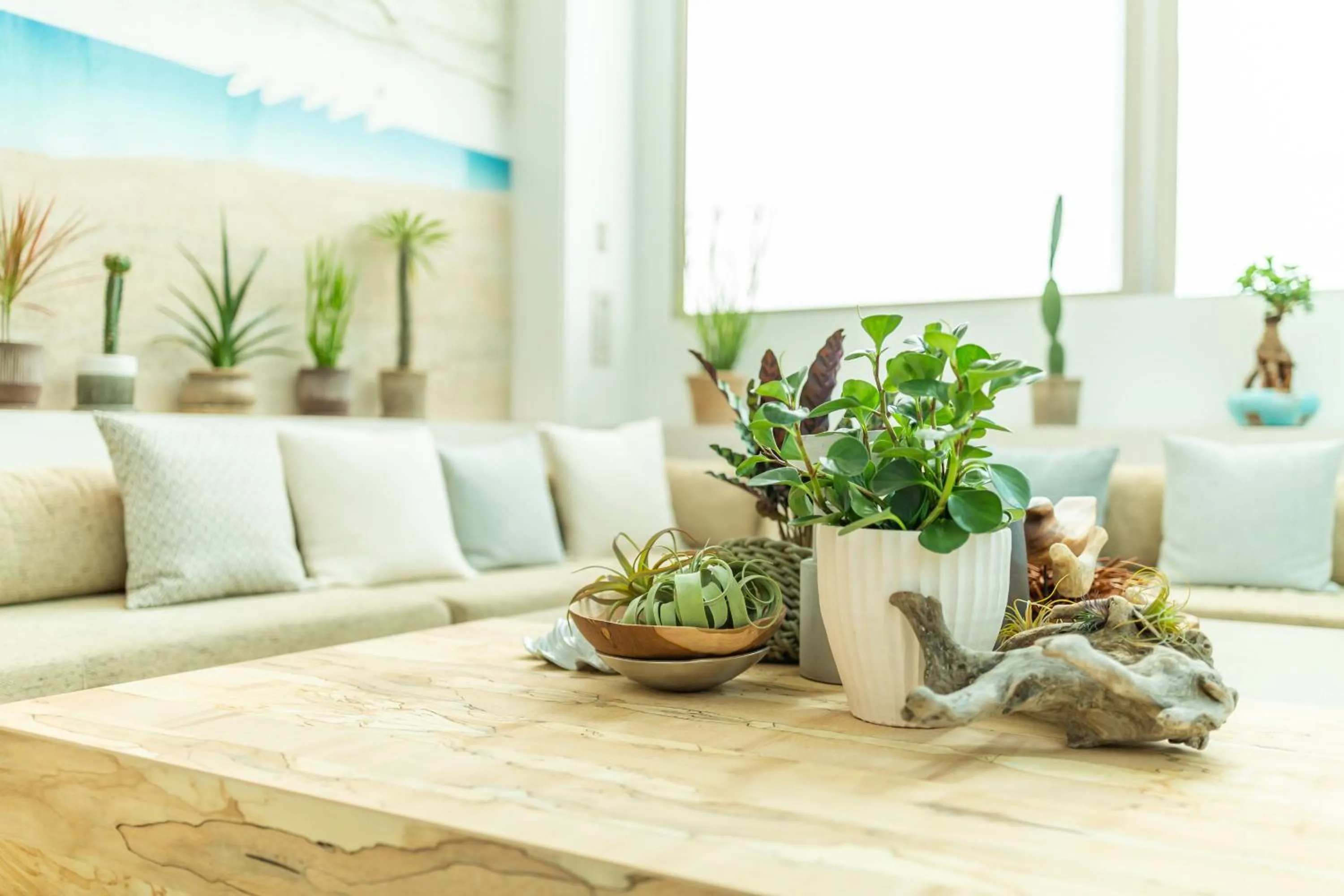 Lounge or bar in Hayama Umino Hotel