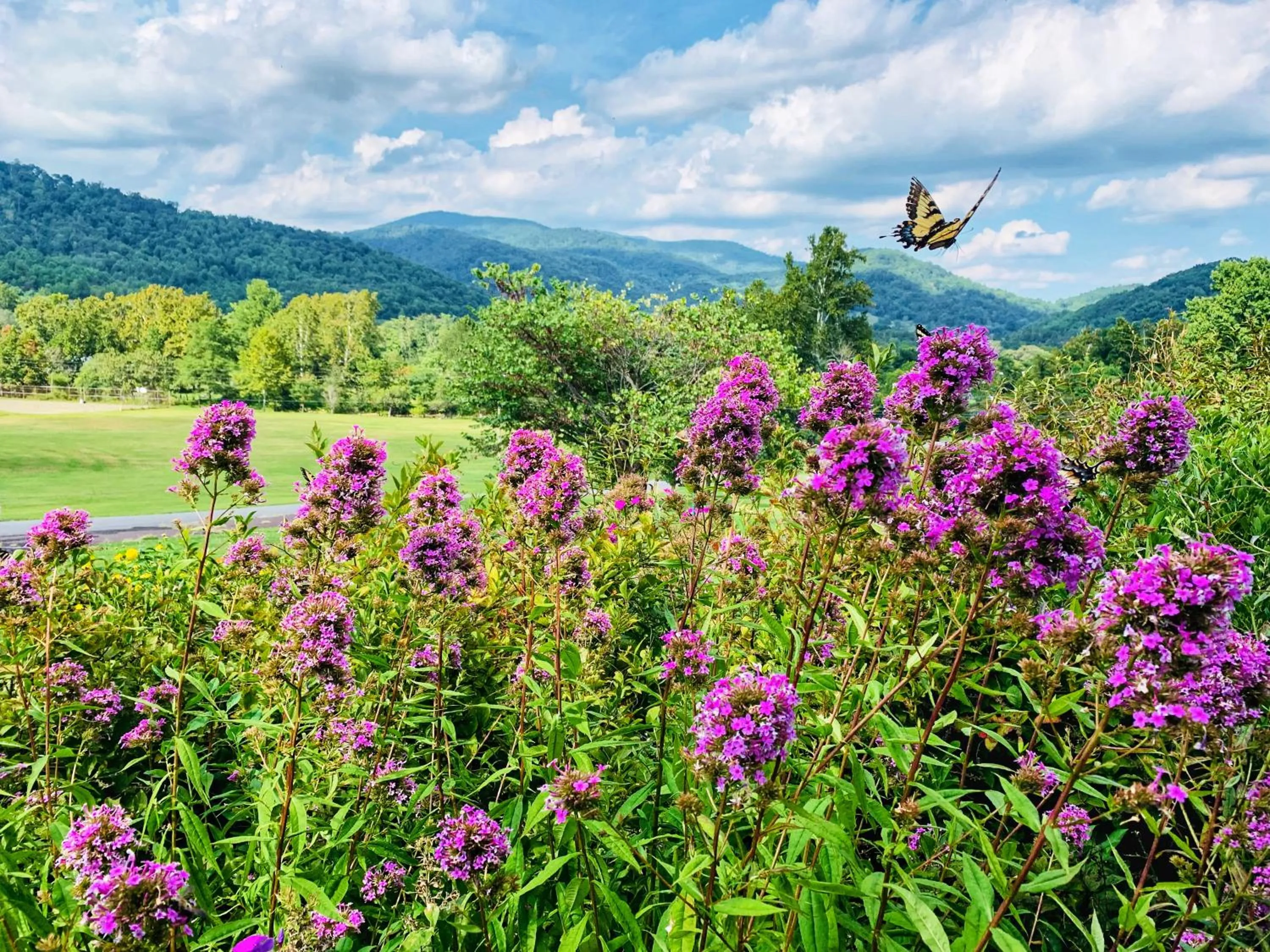 View (from property/room) in Graves Mountain Farm & Lodges