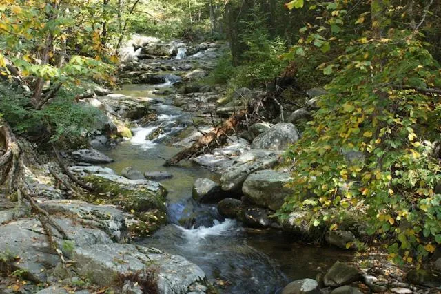 Hiking in Graves Mountain Farm & Lodges
