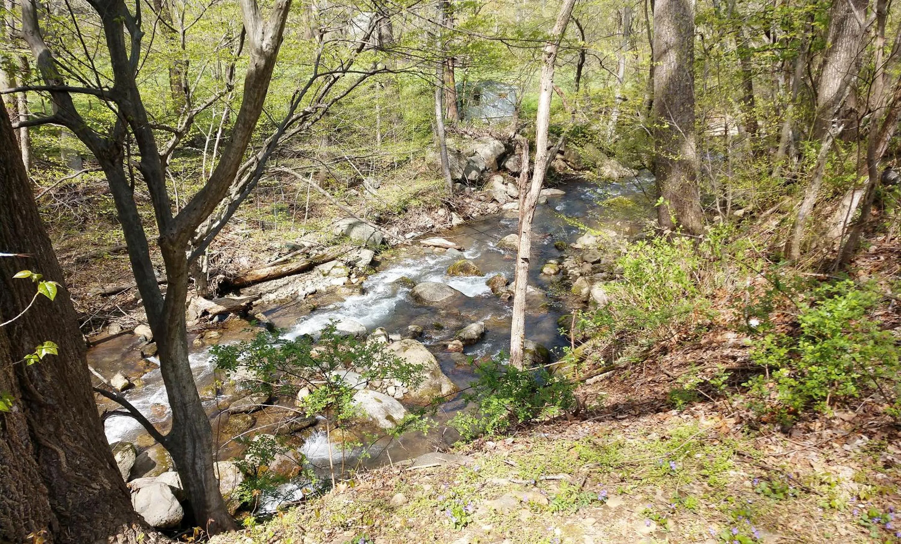Natural landscape in Graves Mountain Farm & Lodges