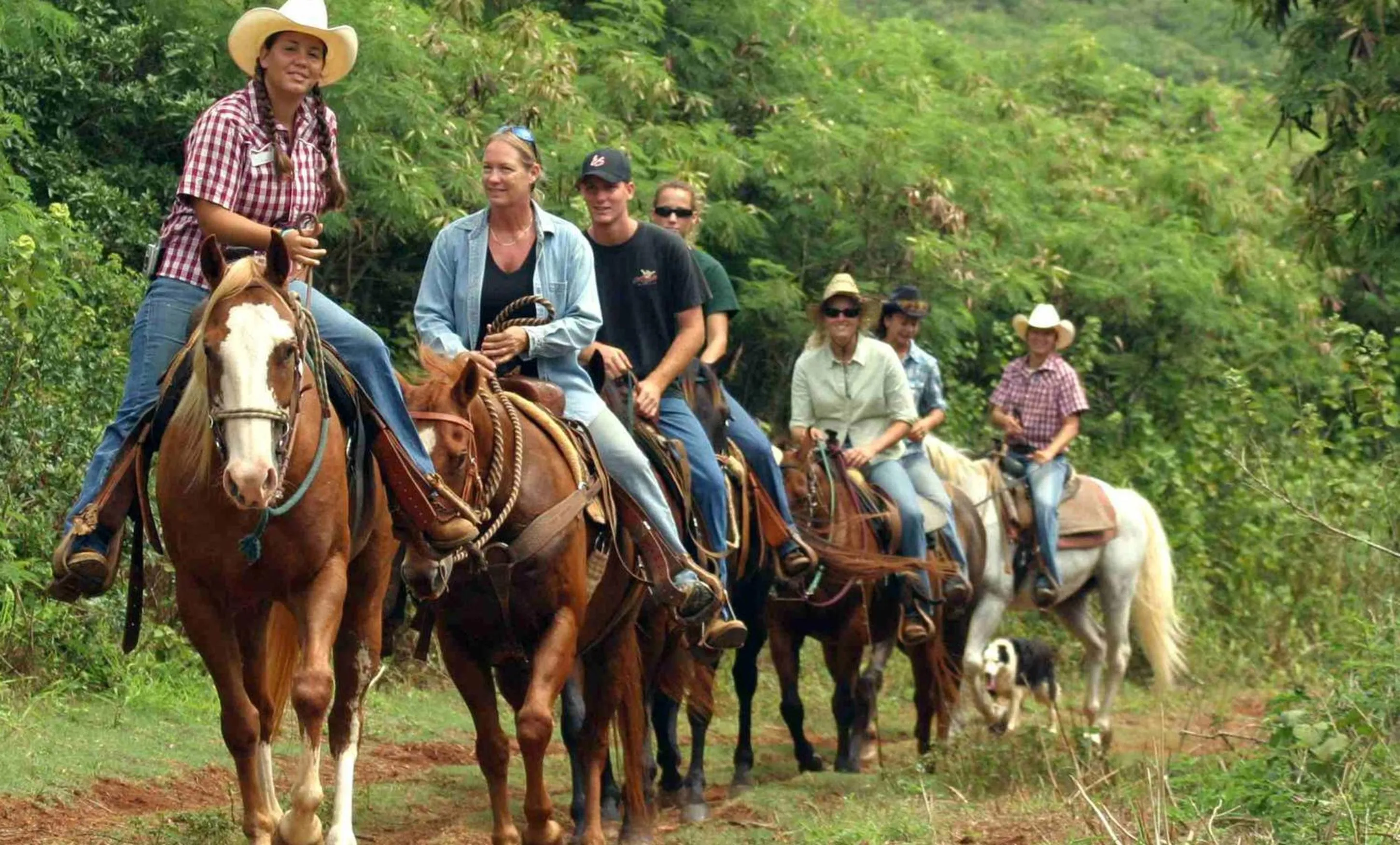 Horse-riding in Graves Mountain Farm & Lodges