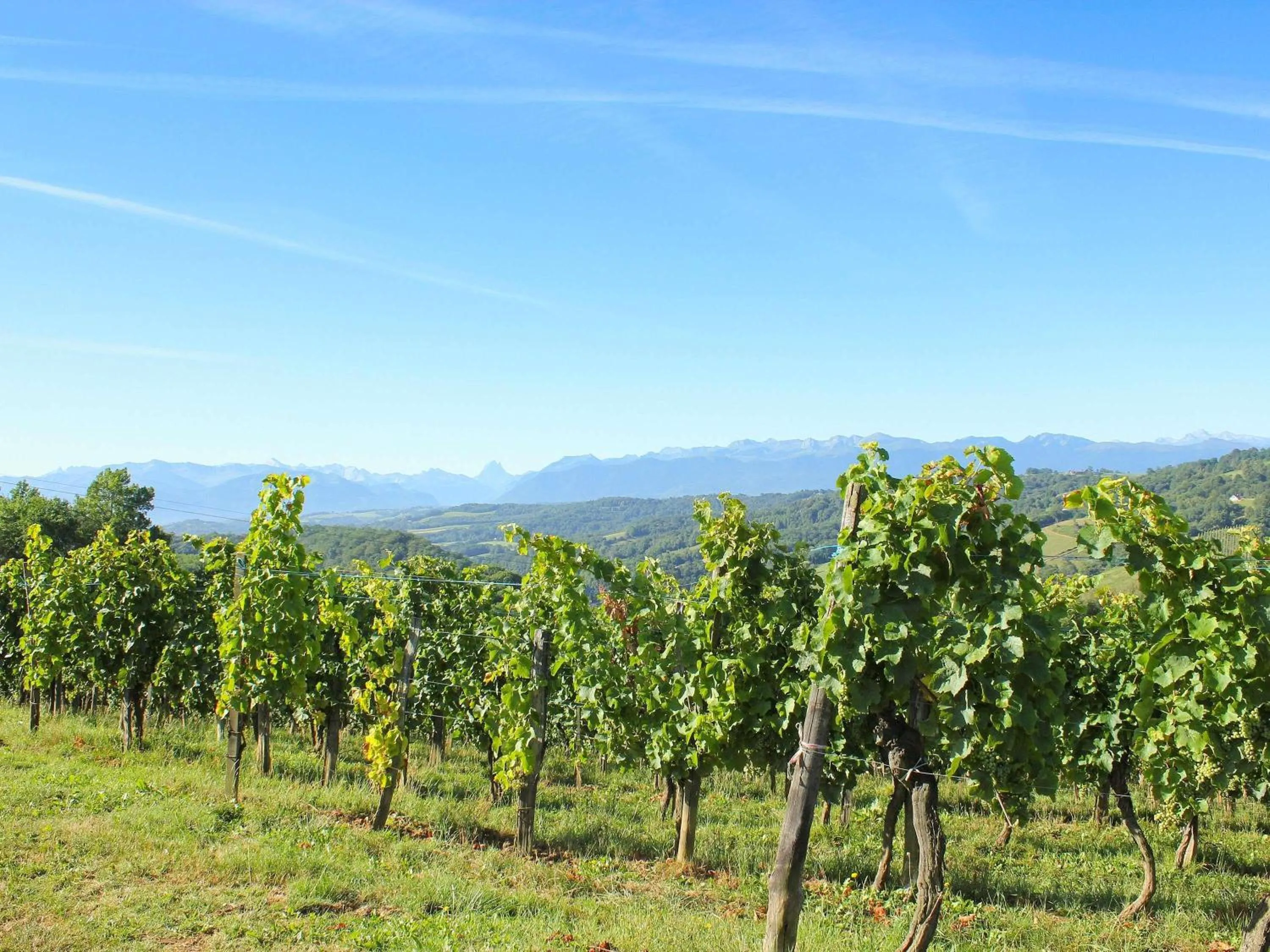 Other in Parc Beaumont Hôtel & Spa Pau - MGallery Collection