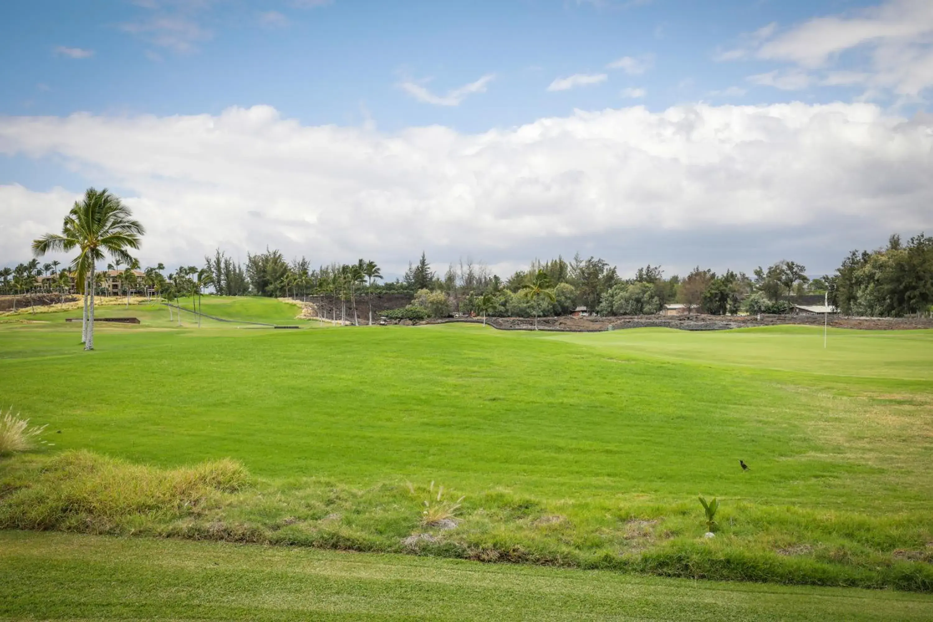 Golfcourse in Fairway Villas Waikoloa by OUTRIGGER Golfcourse in Fairway Villas Waikoloa by OUTRIGGER