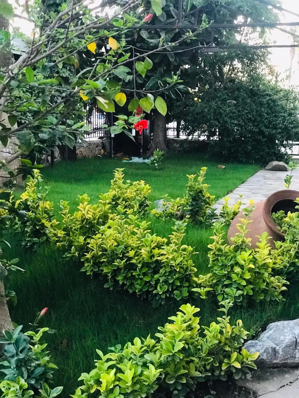Garden in Nehir Dalyan Boutique Otel
