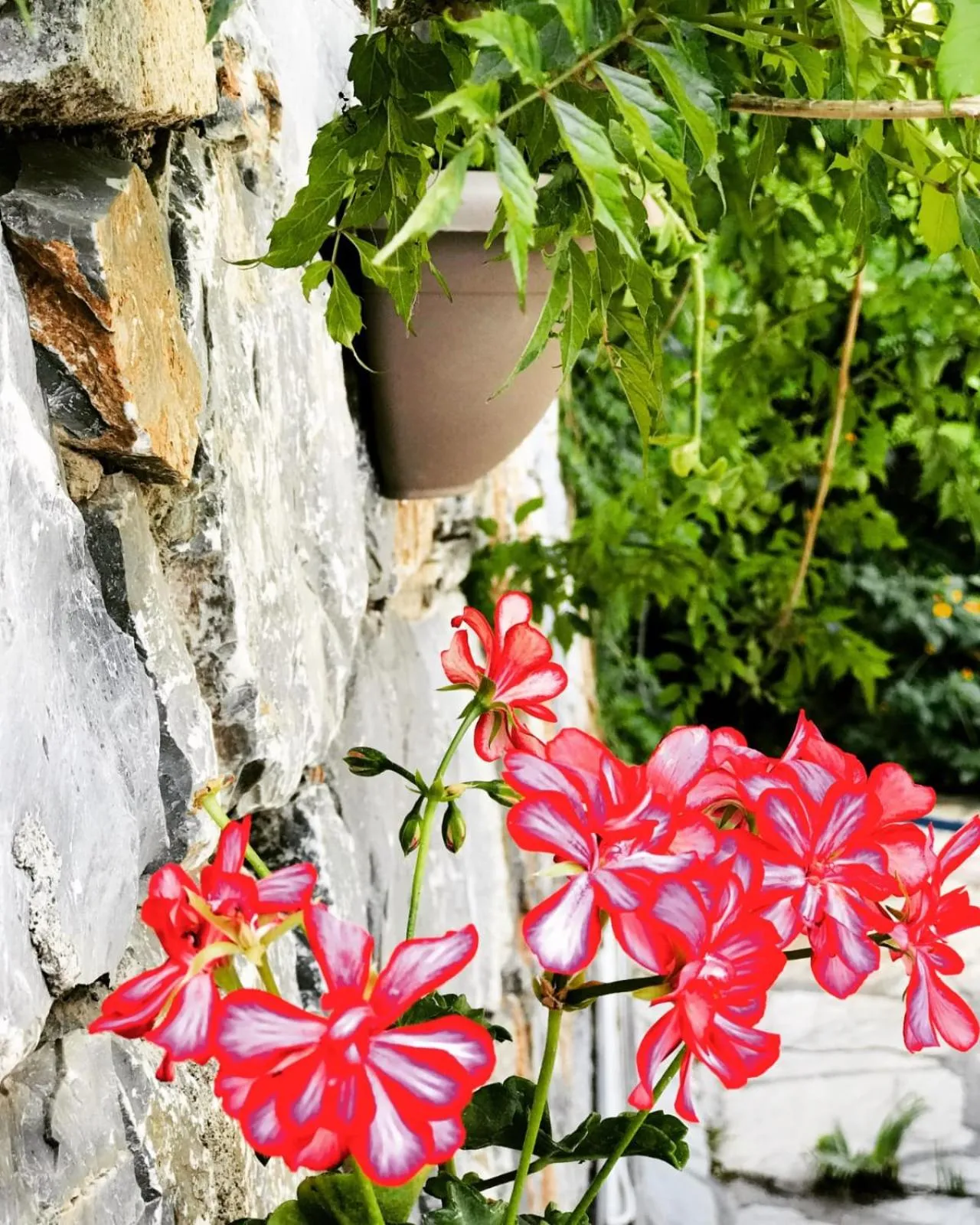 Nehir Dalyan Boutique Otel