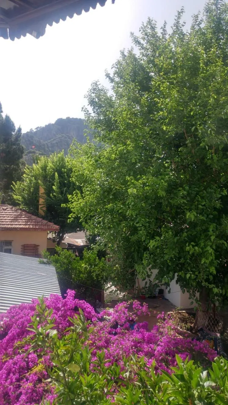 Nehir Dalyan Boutique Otel