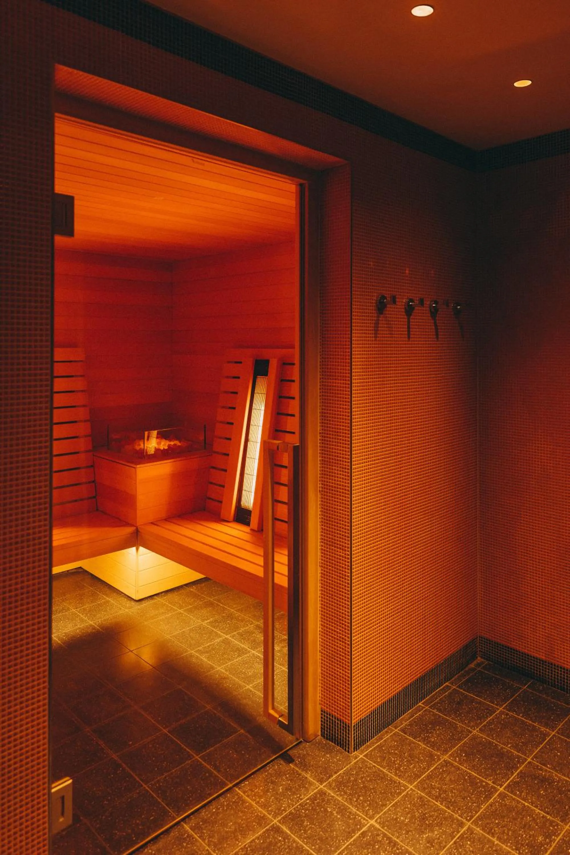 Sauna in Hôtel Des Grands Voyageurs